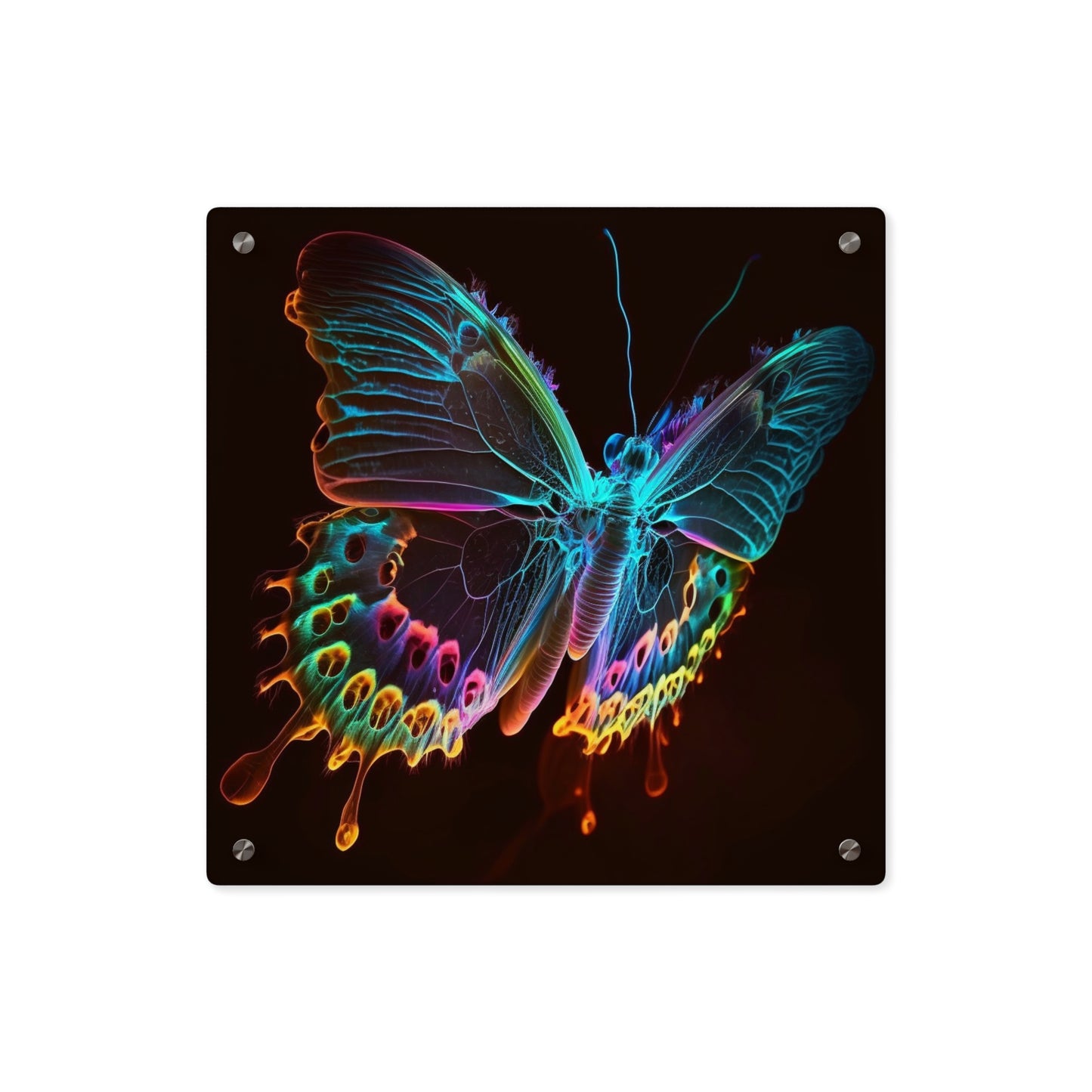 Acrylic Wall Art Panels Thermal Butterfly 2