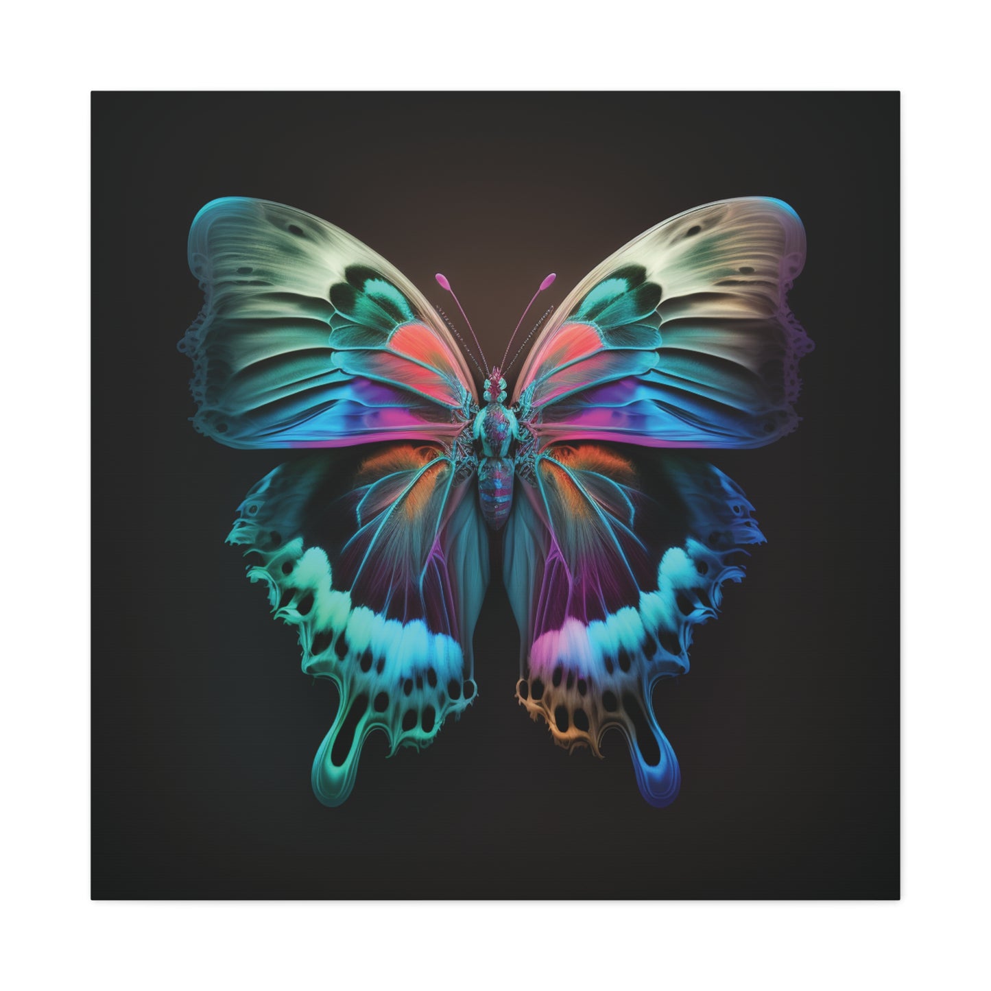 Canvas Gallery Wraps Raw Hyper Color Butterfly 2