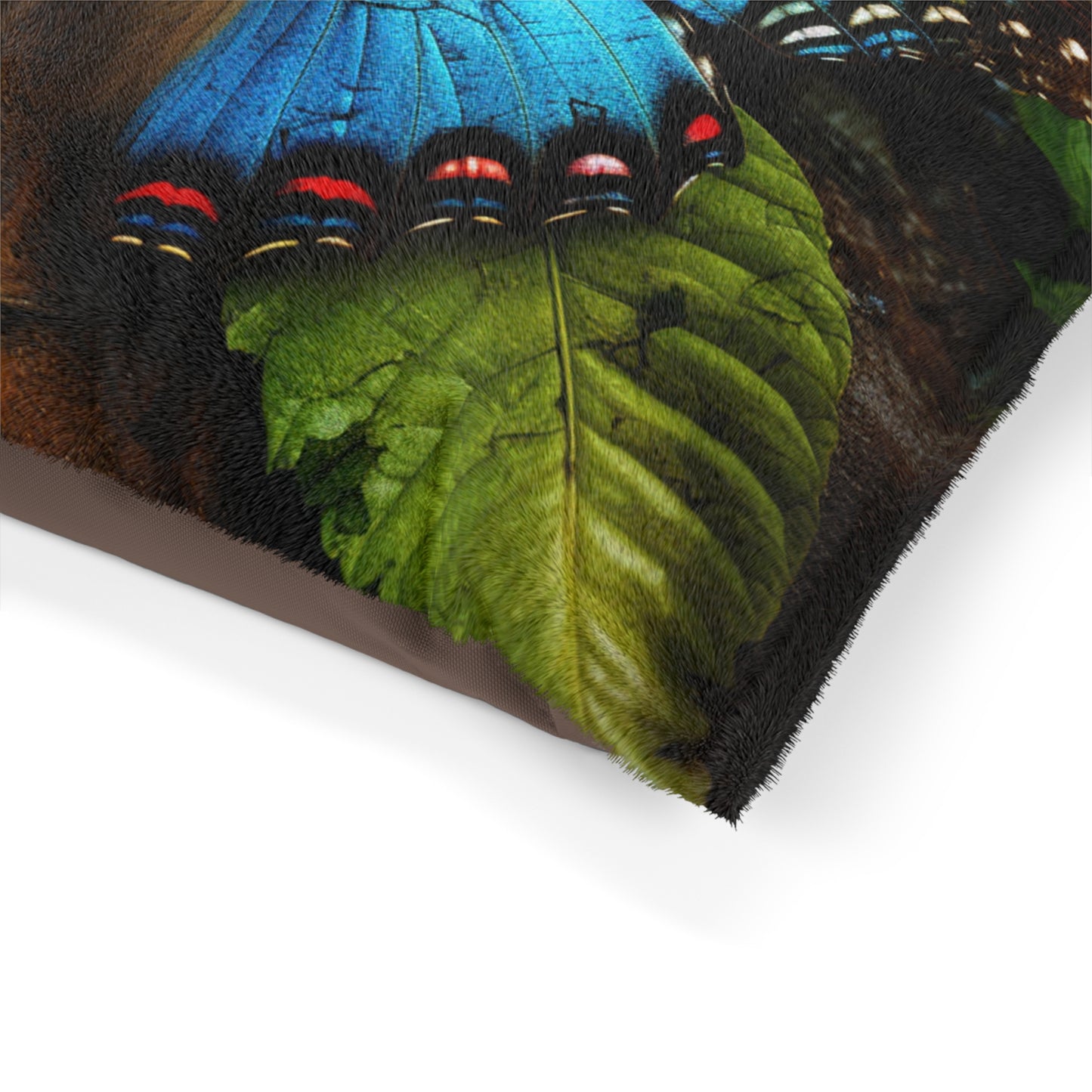 Pet Bed Jungle Butterfly 2