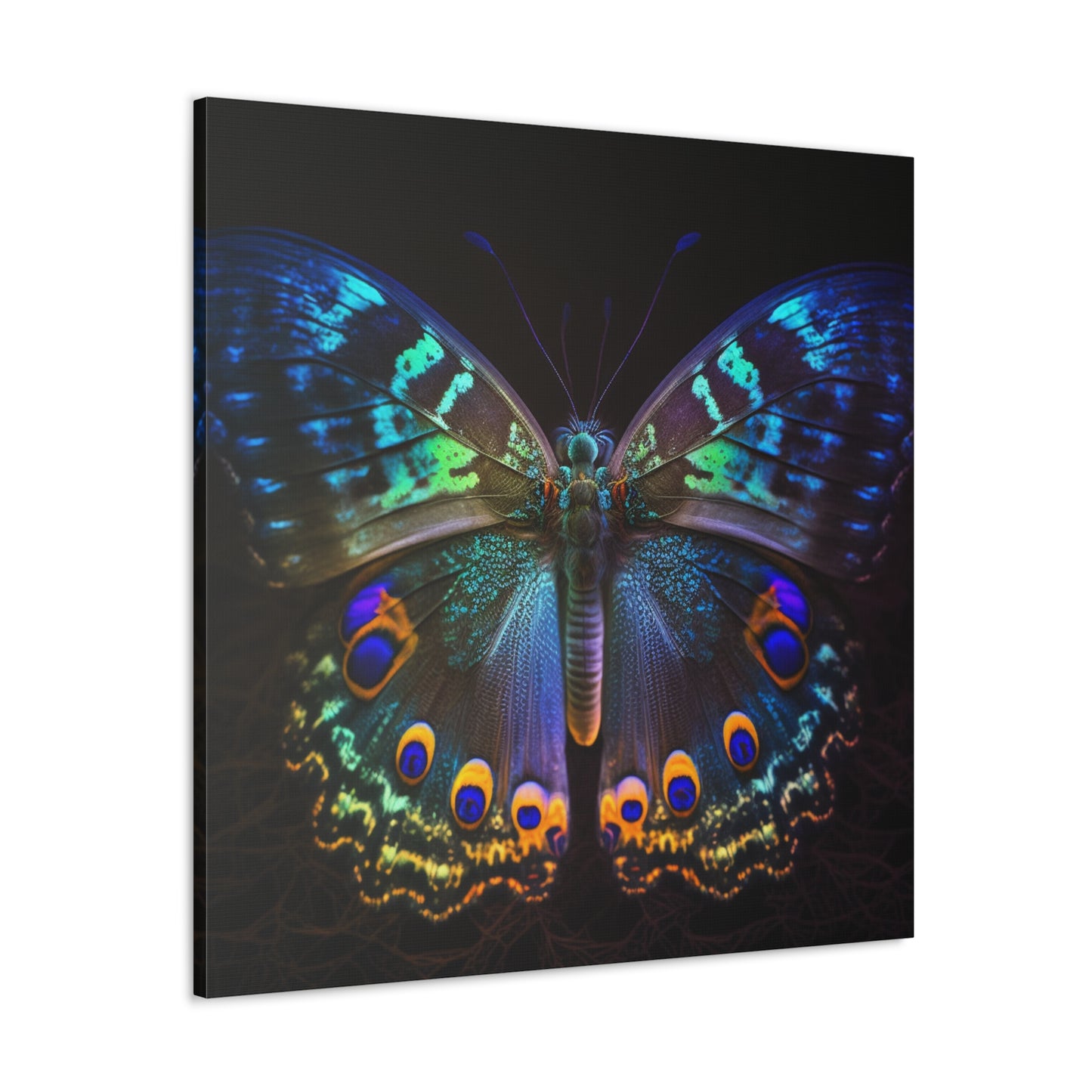 Canvas Gallery Wraps Neon Hue Butterfly 3