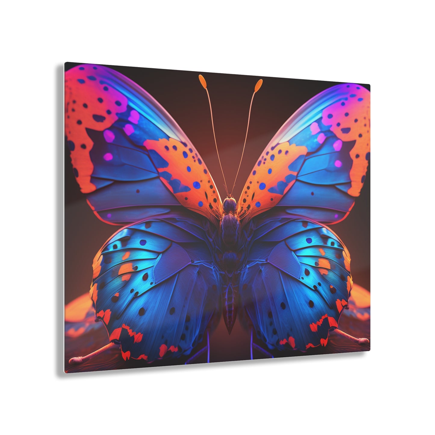 Acrylic Prints Neon Butterfly Macro 3