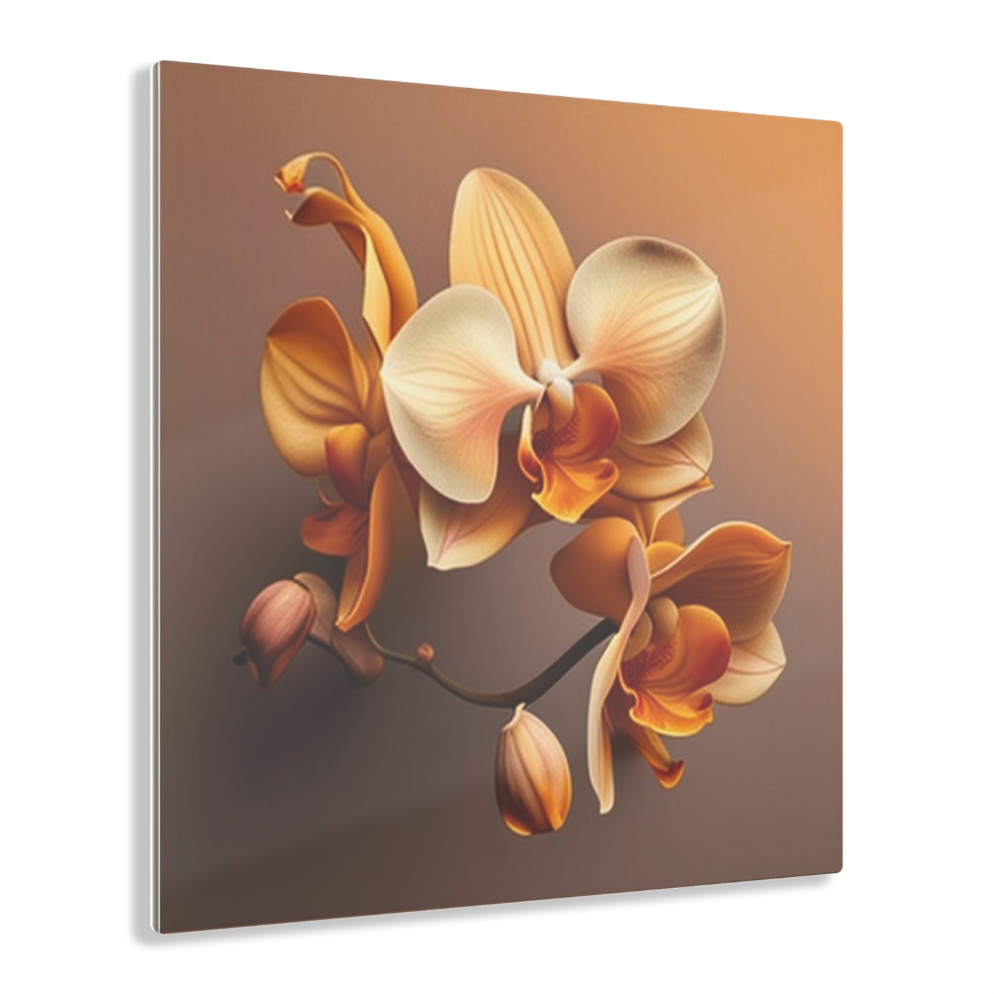 Acrylic Prints orchid pedals 2