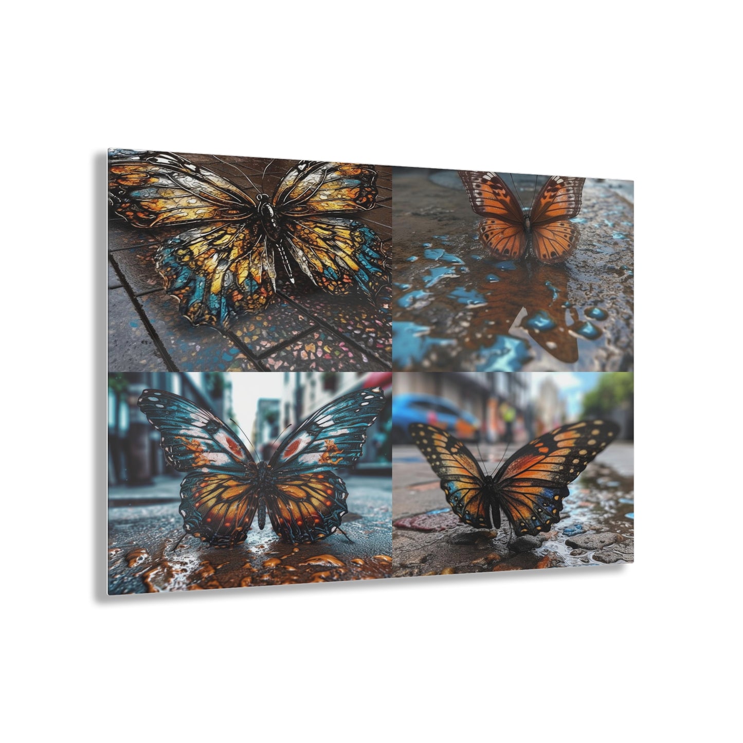 Acrylic Prints Water Butterfly Street 5