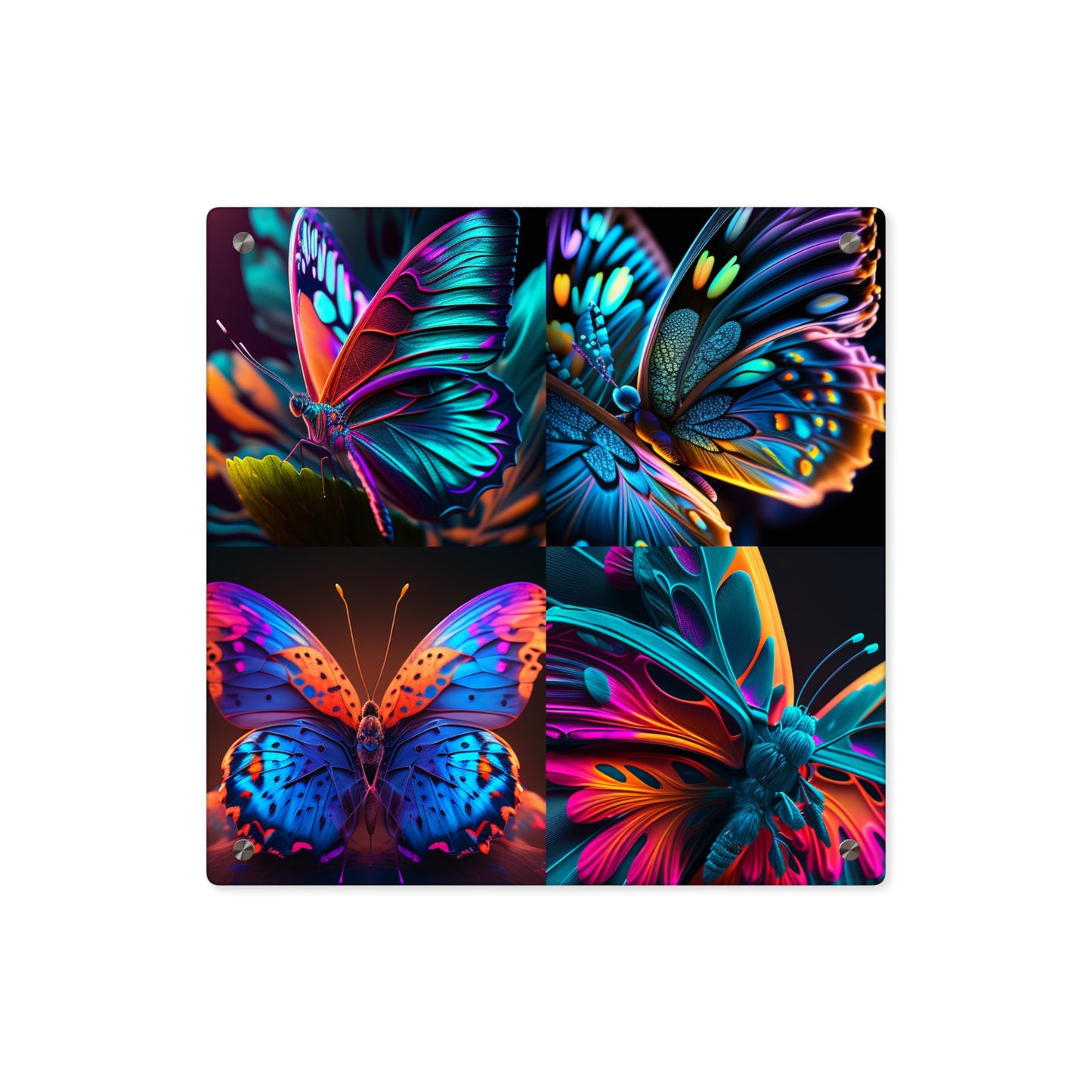 Acrylic Wall Art Panels Neon Butterfly Macro 5