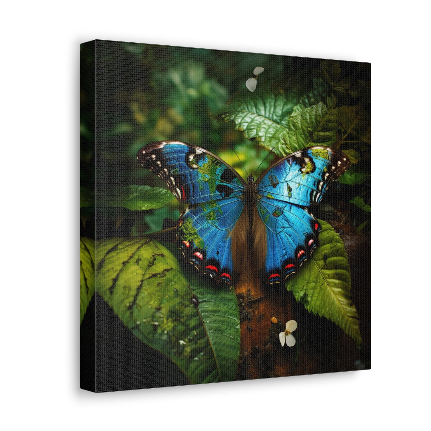 Canvas Gallery Wraps Jungle Butterfly 2