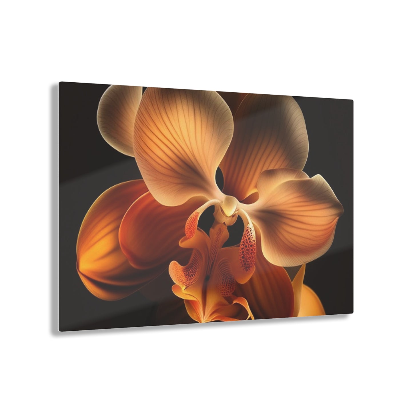 Acrylic Prints Orange Orchid 2