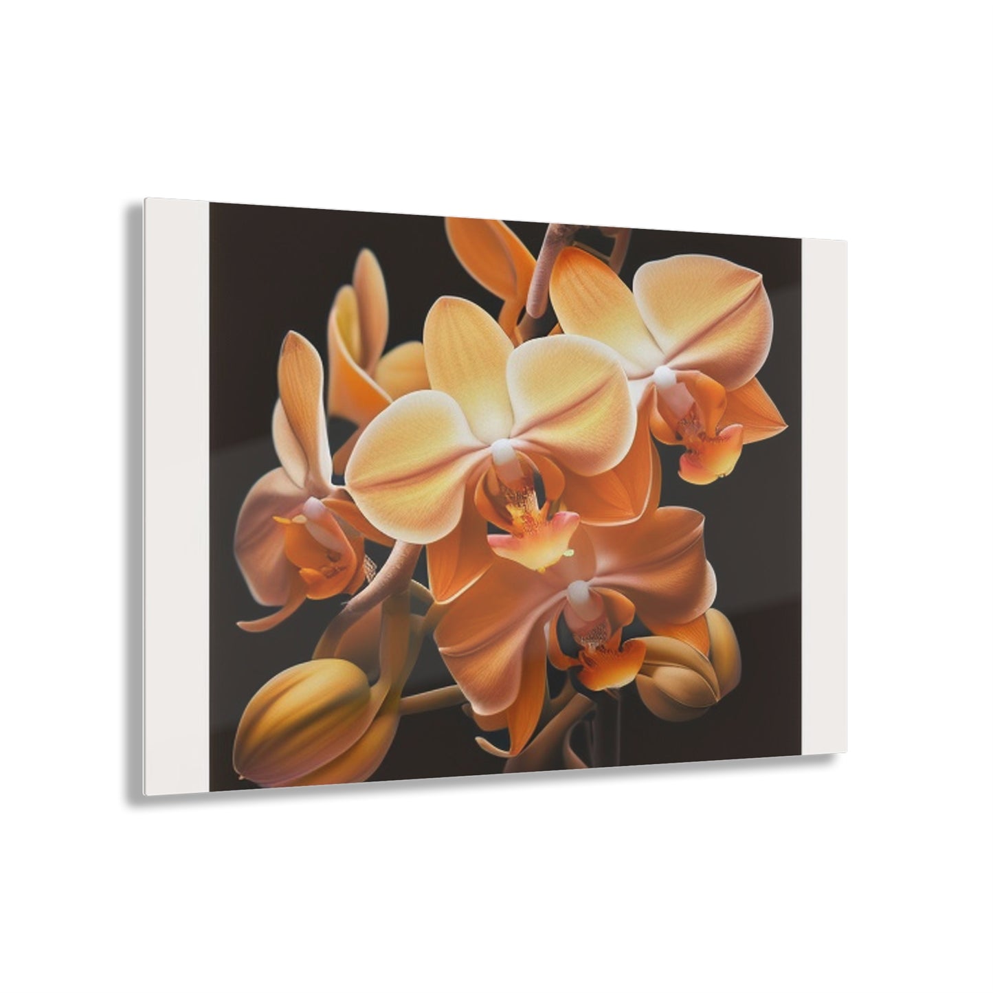 Acrylic Prints orchid pedals 1