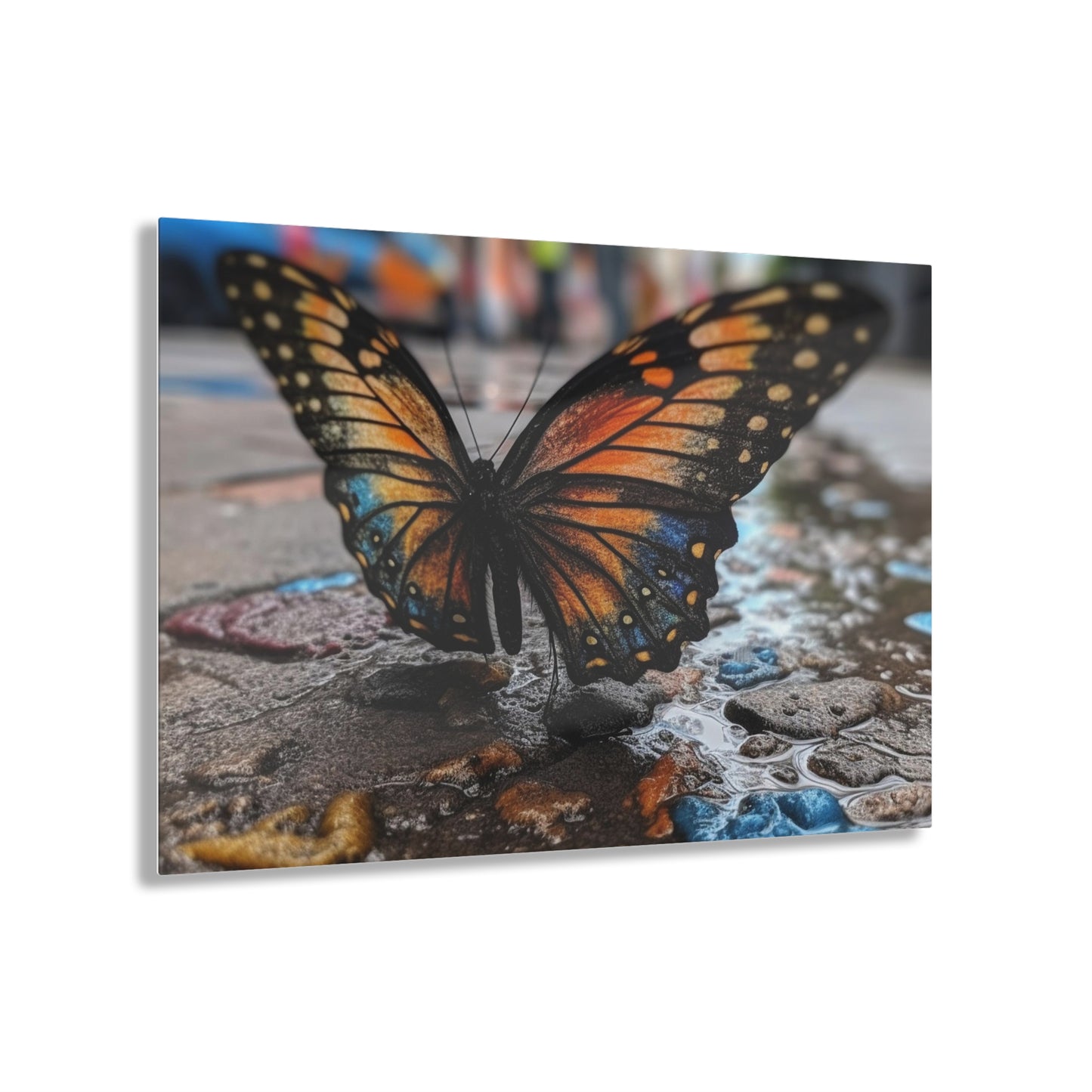 Acrylic Prints Water Butterfly Street 4