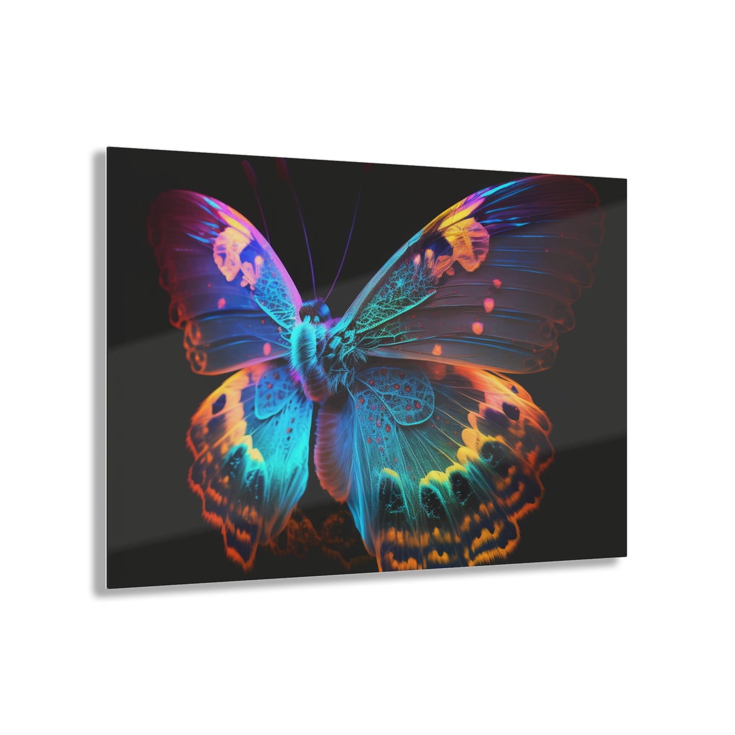 Acrylic Prints Raw Hyper Color Butterfly 4