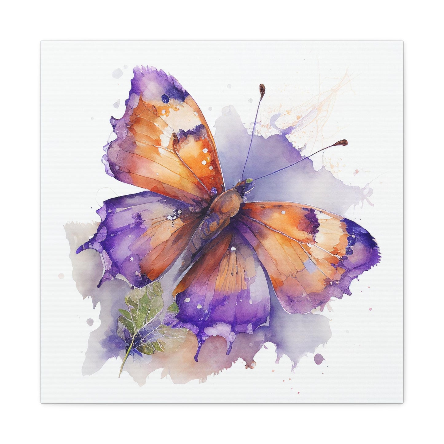 Canvas Gallery Wraps MerlinRose Watercolor Butterfly 2