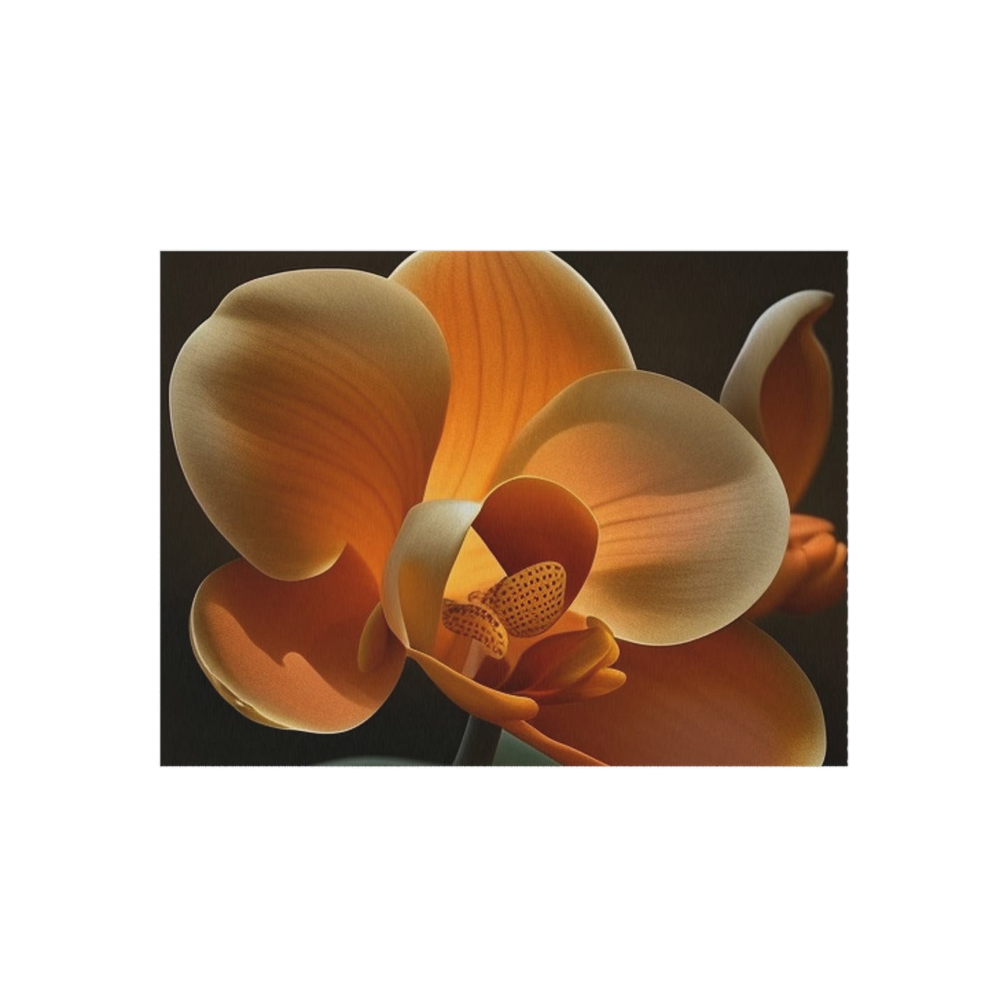 Outdoor Rug  Orange Orchid 4