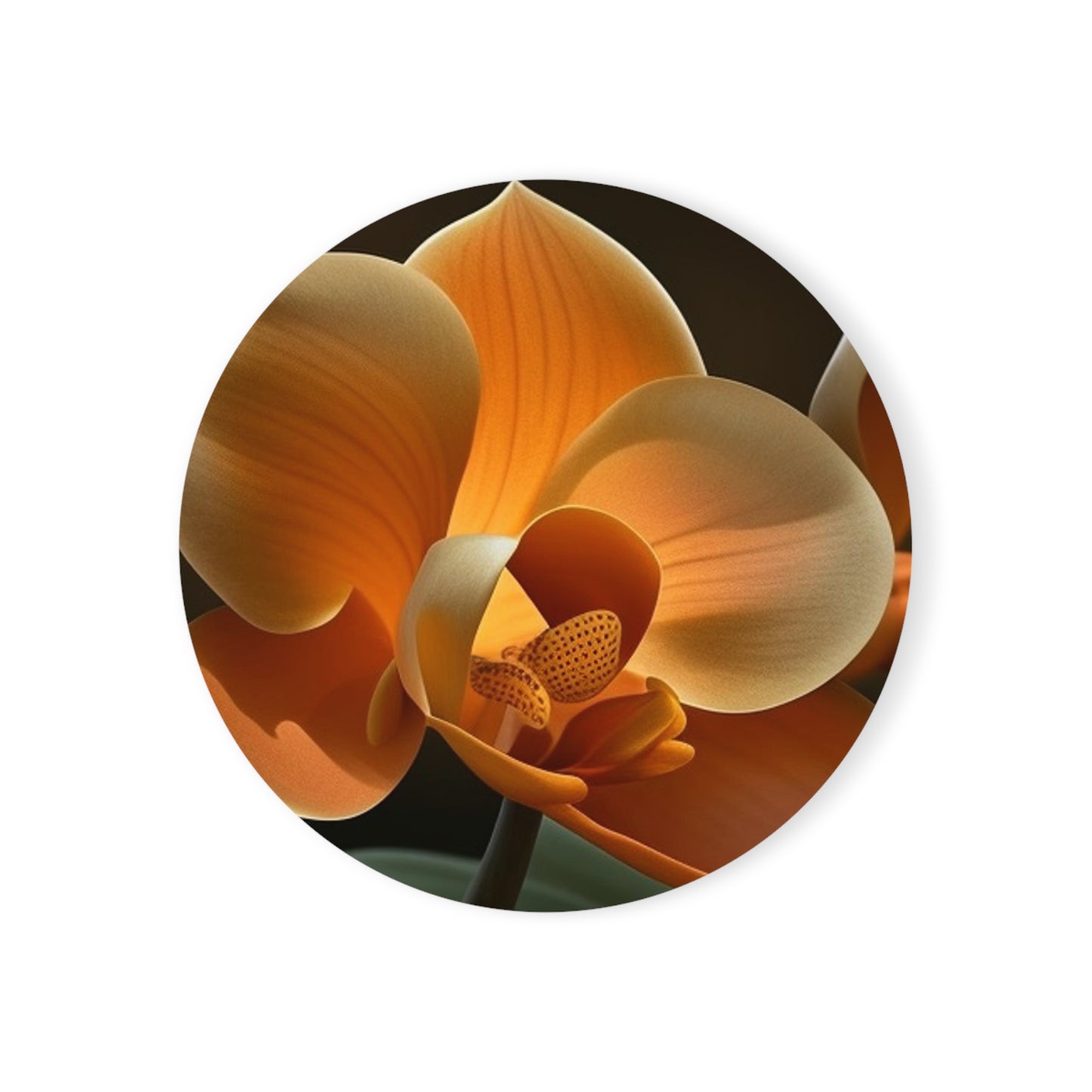 Cork Back Coaster Orange Orchid 4