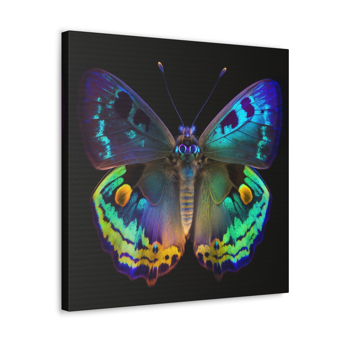 Canvas Gallery Wraps Neon Hue Butterfly 4