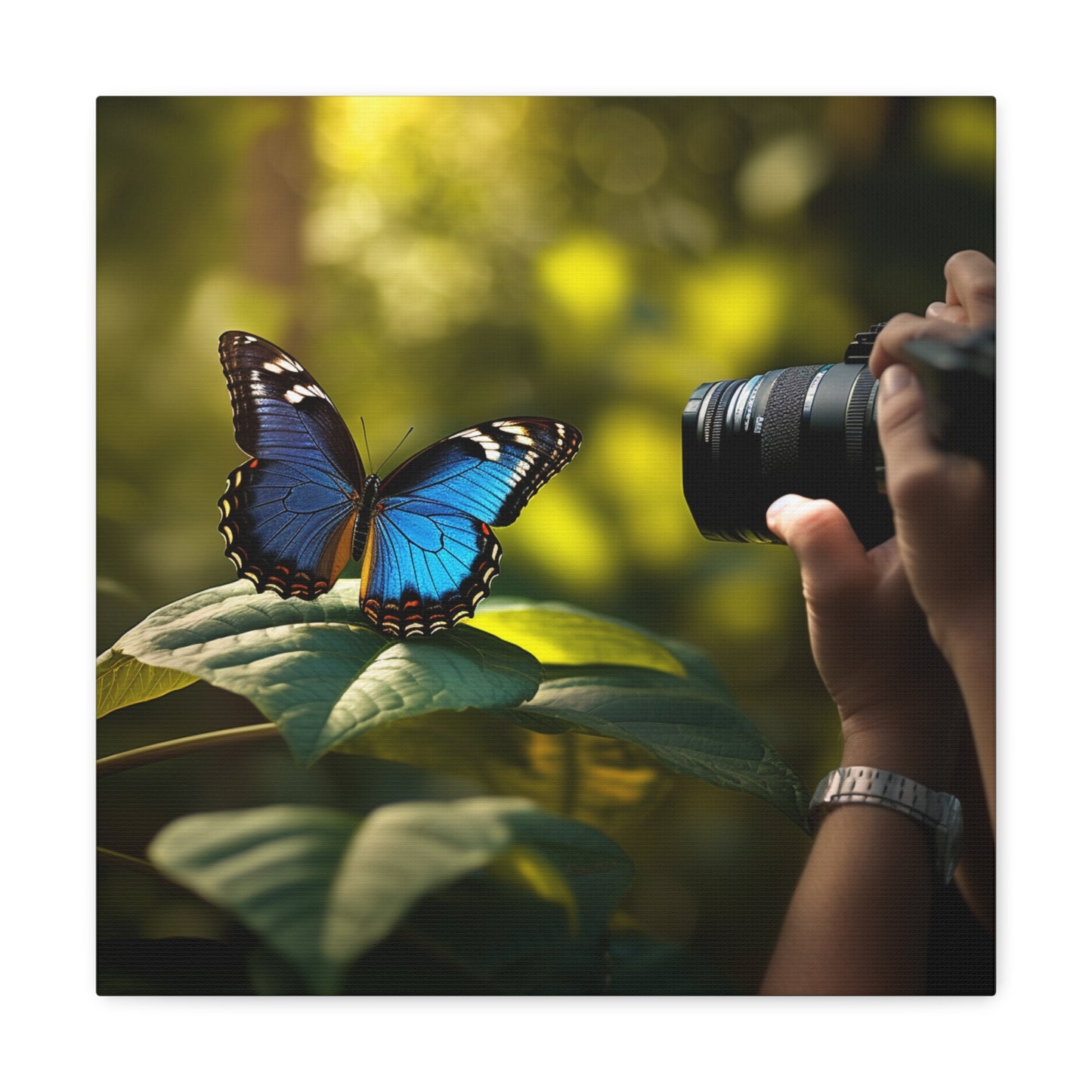 Canvas Gallery Wraps Jungle Butterfly 3