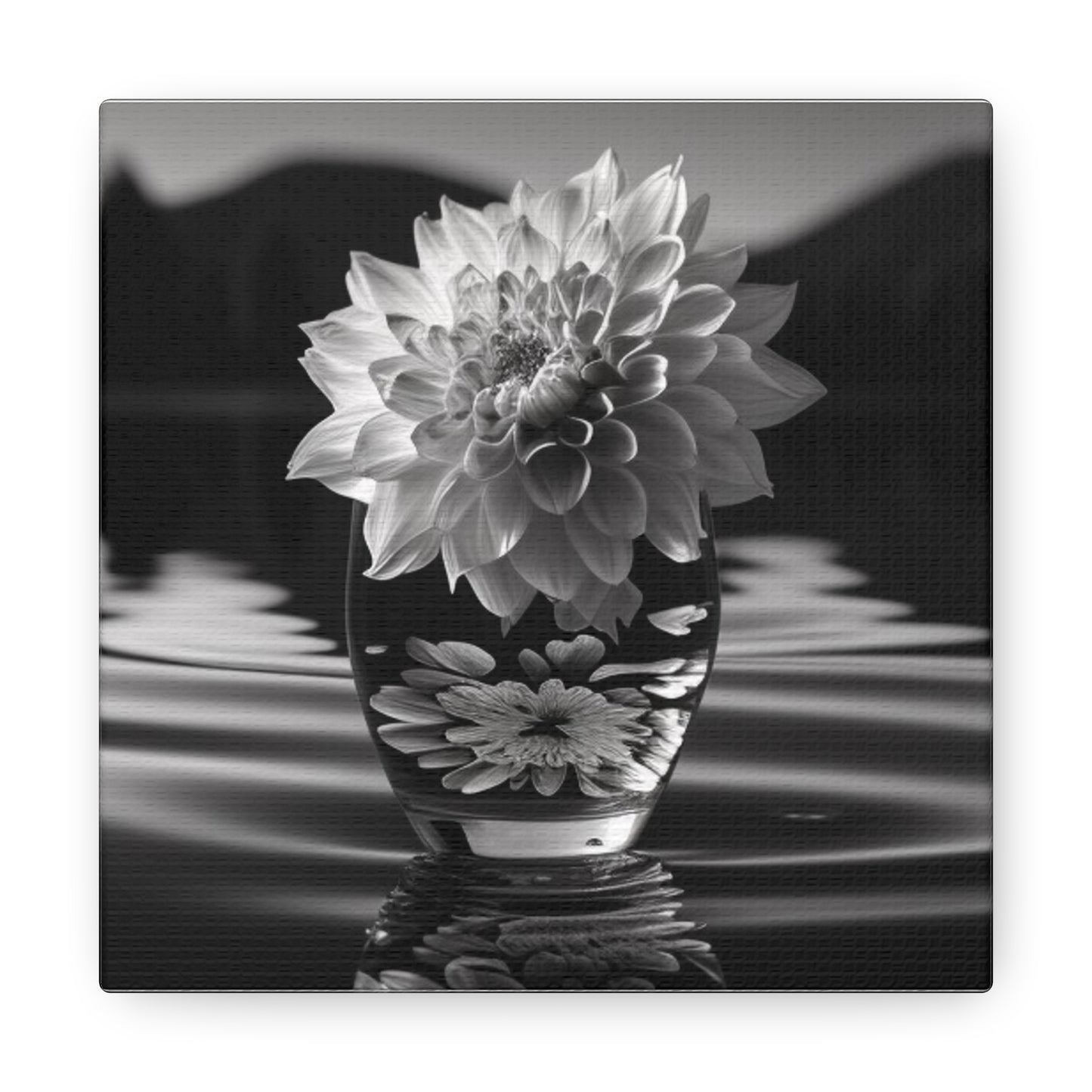 Canvas Gallery Wraps White Dahlia 4