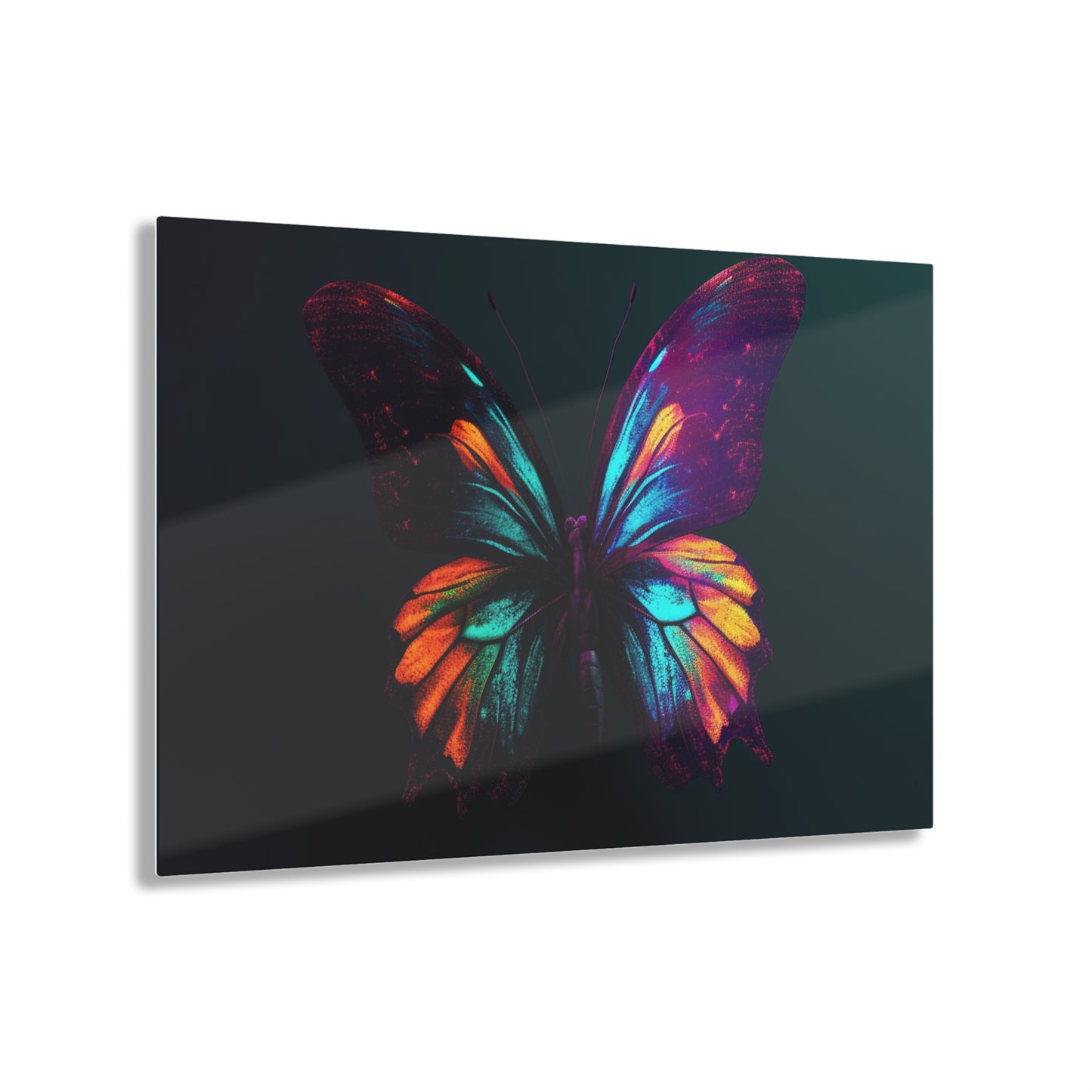 Acrylic Prints Hyper Colorful Butterfly Macro 4