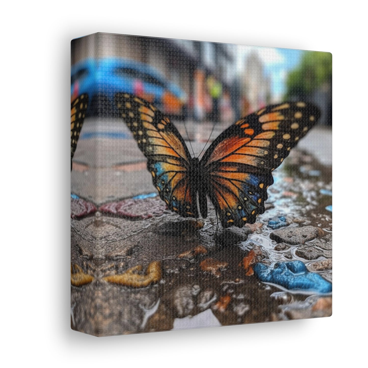 Canvas Gallery Wraps Water Butterfly Street 4