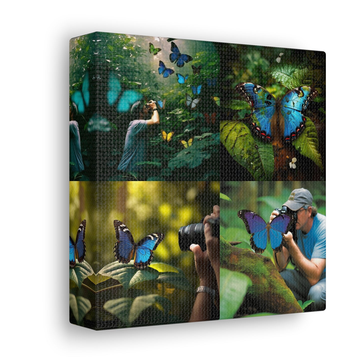 Canvas Gallery Wraps Jungle Butterfly 5