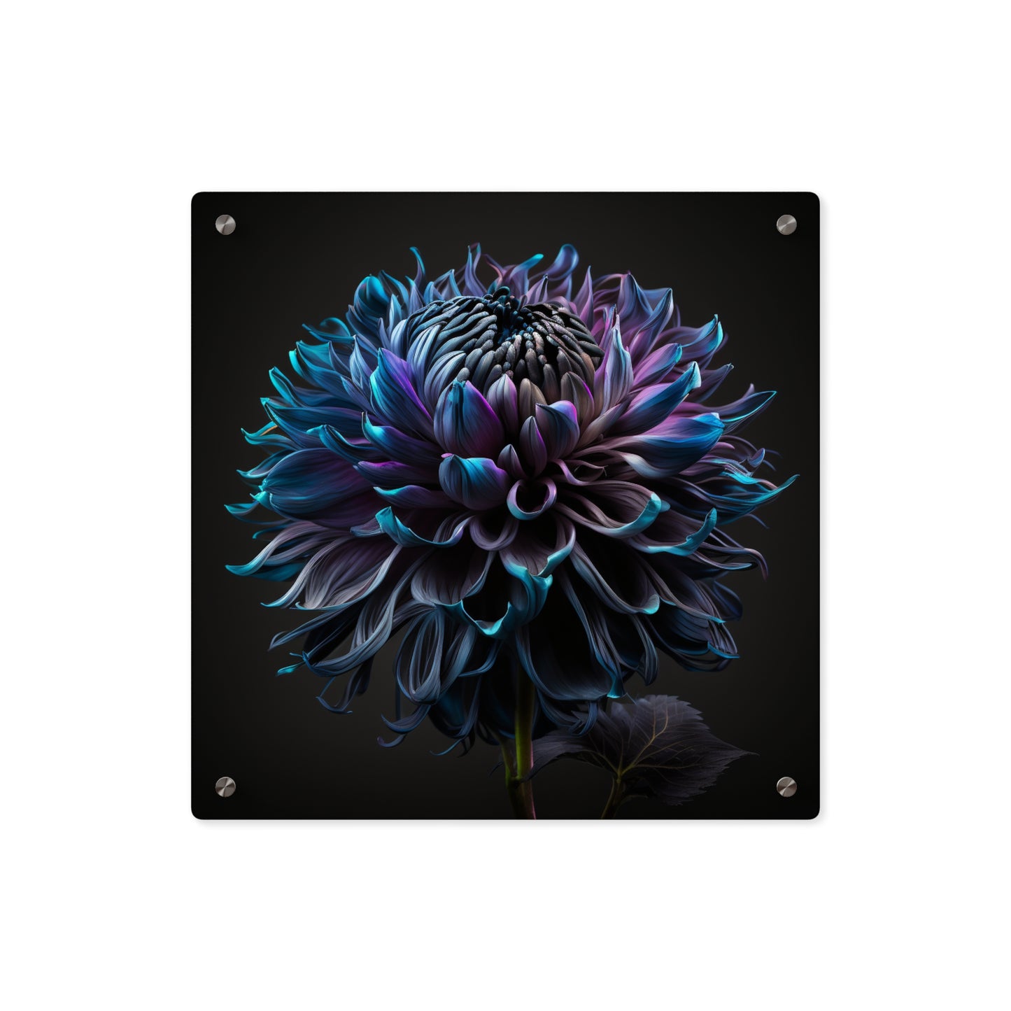 Acrylic Wall Art Panels Dahlia Purple 3