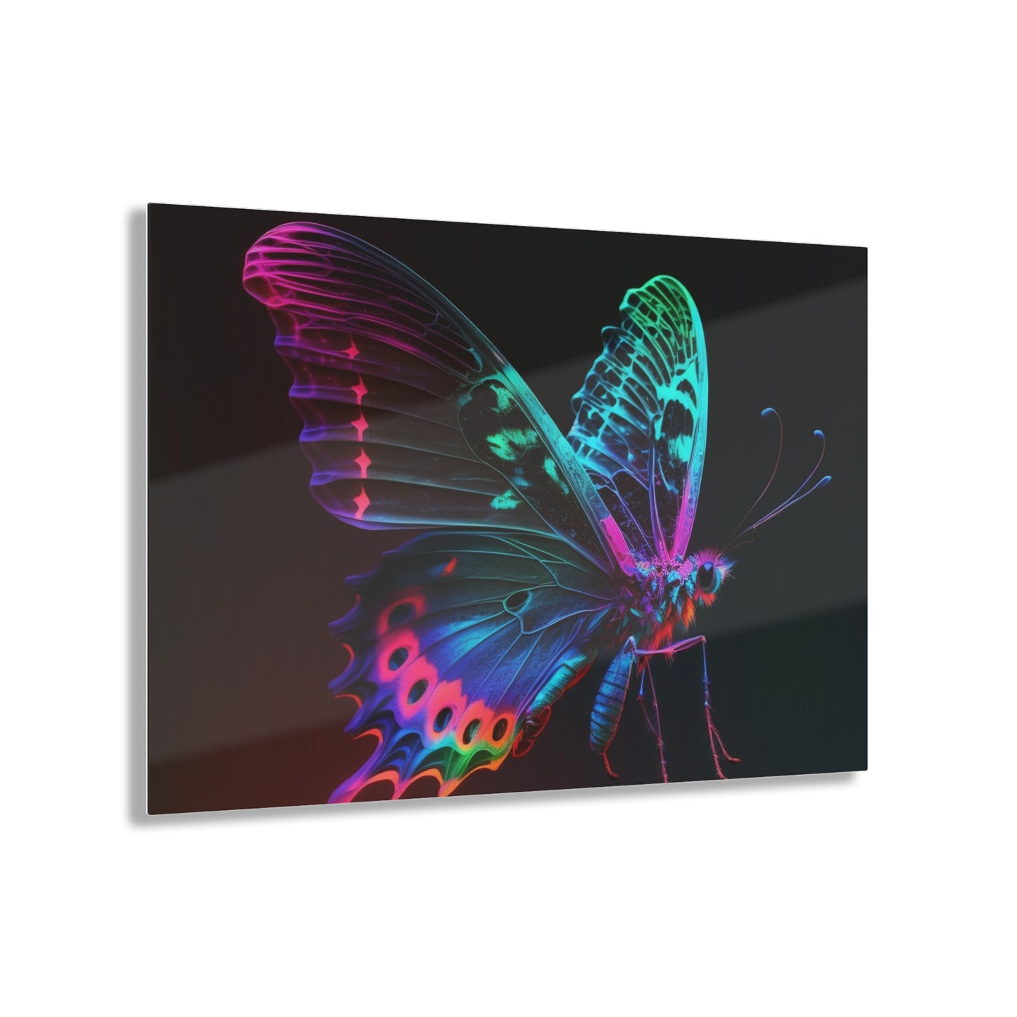 Acrylic Prints Raw Hyper Color Butterfly 1