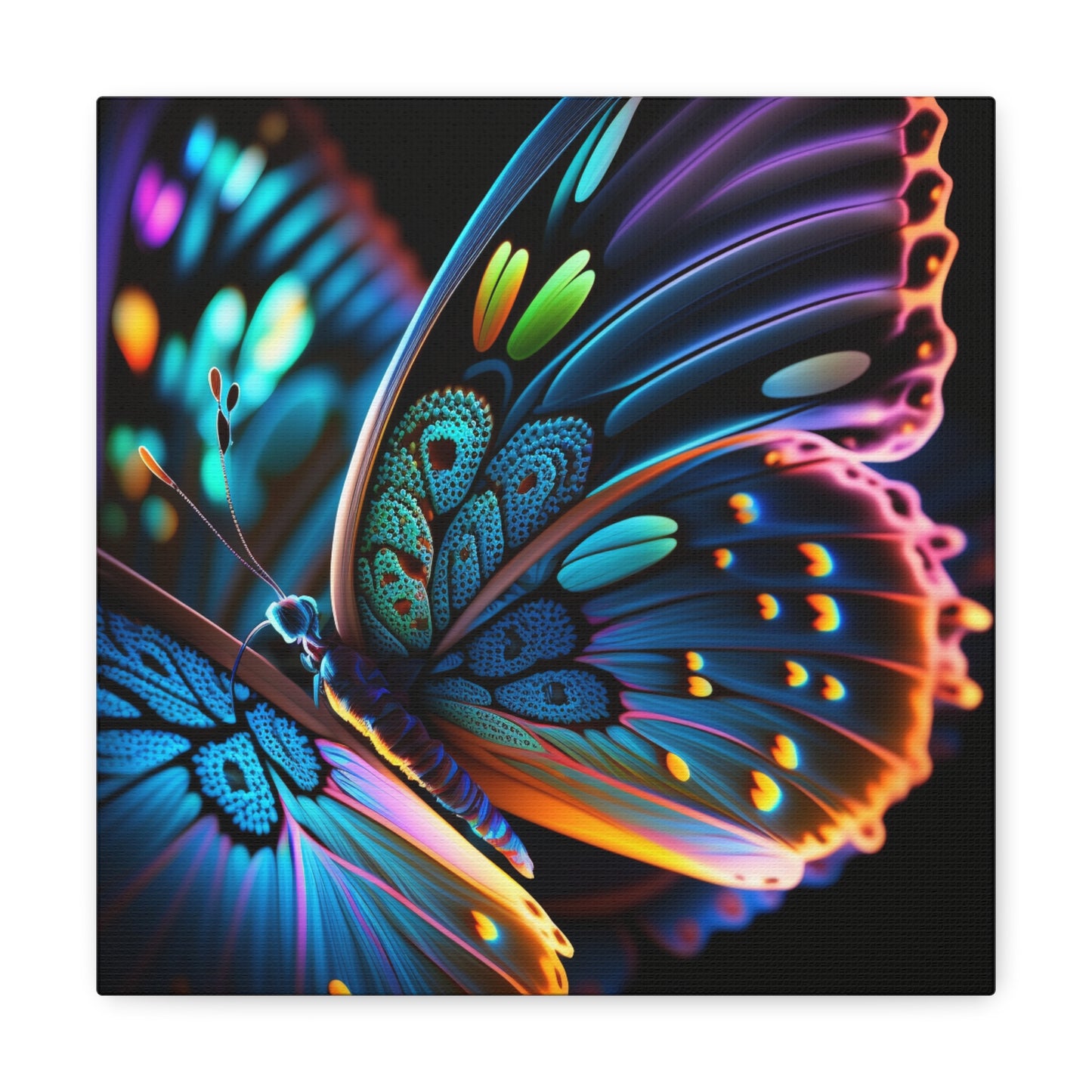 Canvas Gallery Wraps Neon Butterfly Macro 2