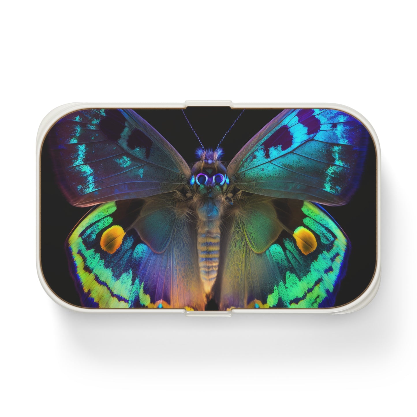 Bento Lunch Box Neon Hue Butterfly 4