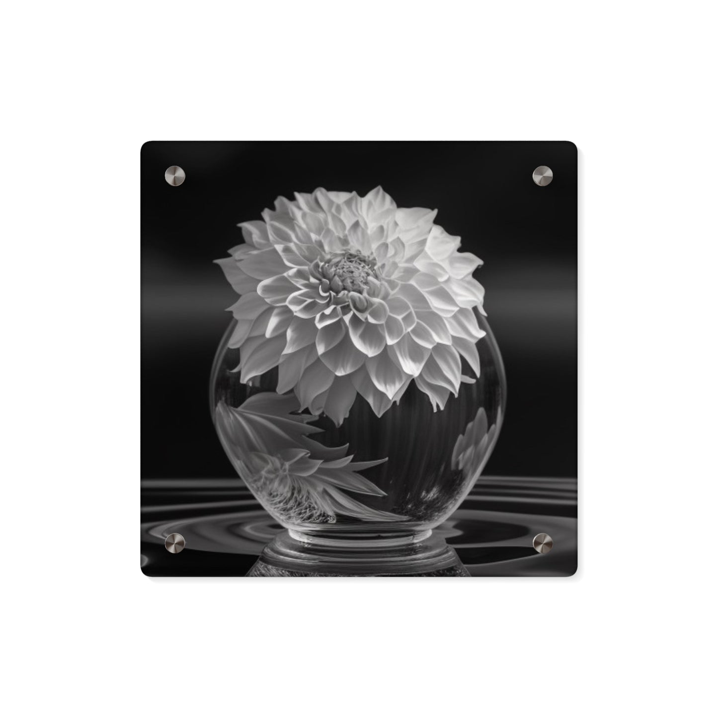 Acrylic Wall Art Panels White Dahlia 1