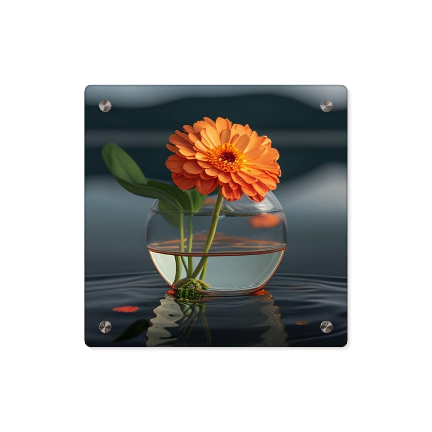 Acrylic Wall Art Panels Orange Zinnia 2