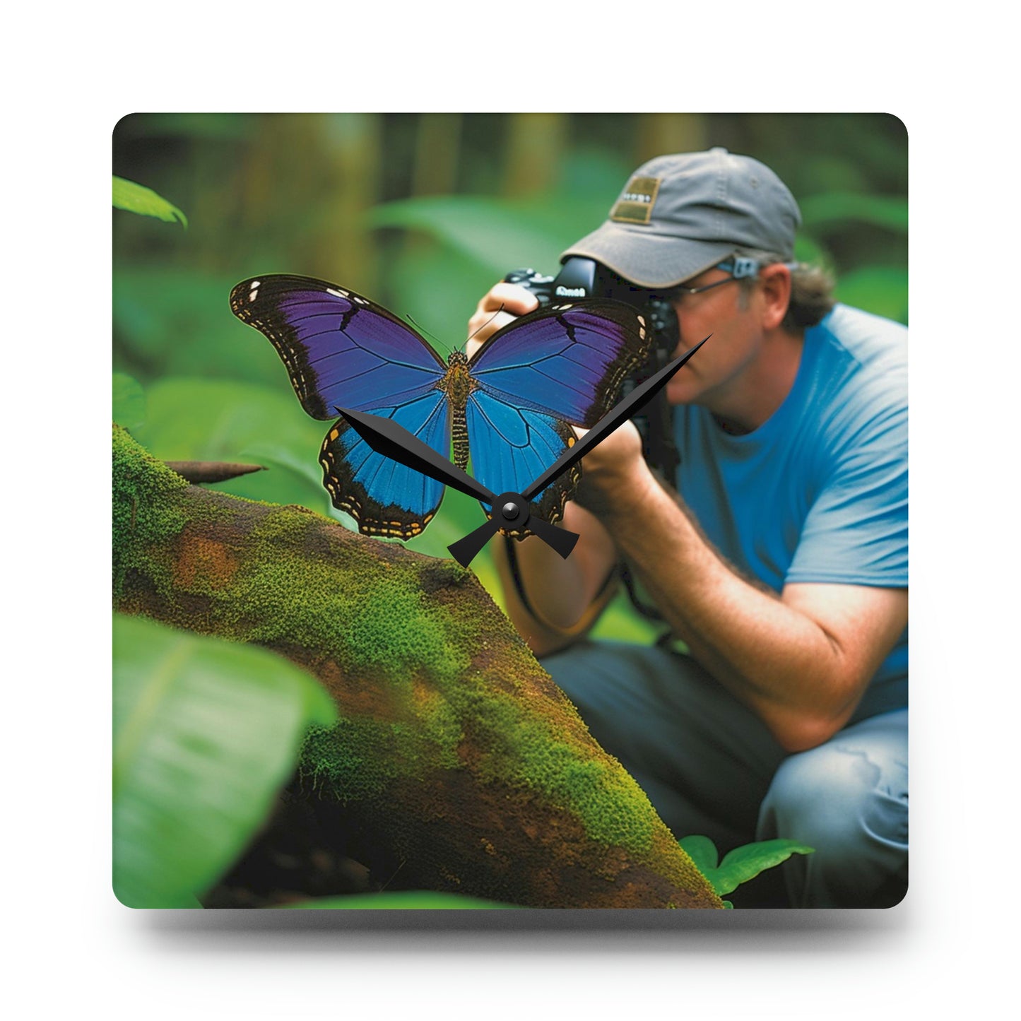 Acrylic Wall Clock Jungle Butterfly 4