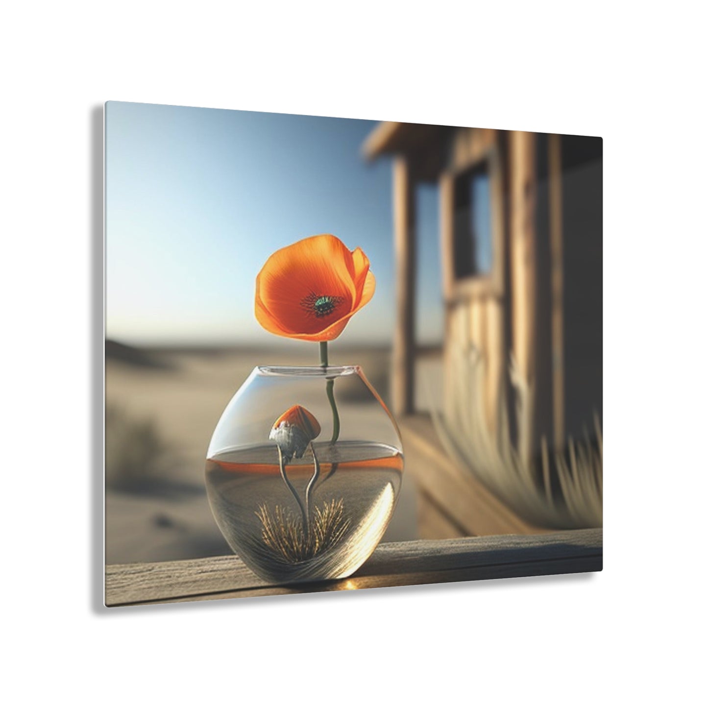 Acrylic Prints Orange Poppy in a Vase 1