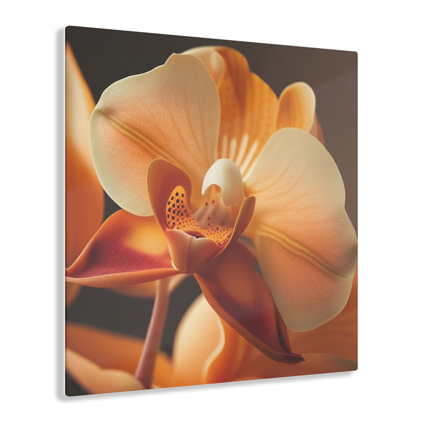 Acrylic Prints Orange Orchid 3