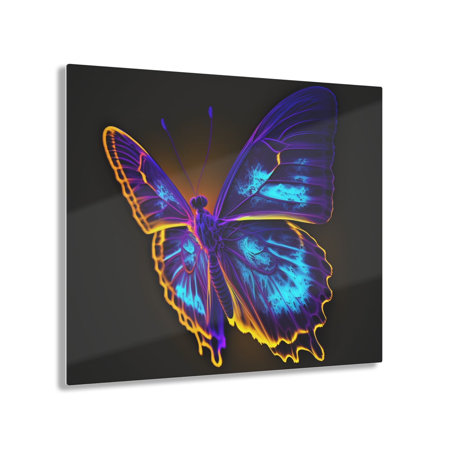 Acrylic Prints Thermal Butterfly 4