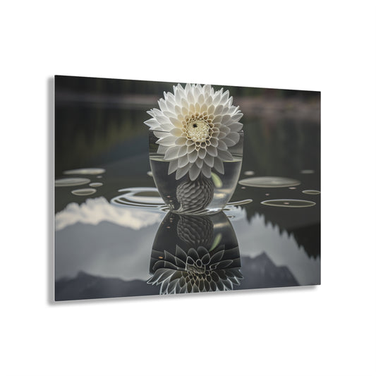 Acrylic Prints White Dahlia 3