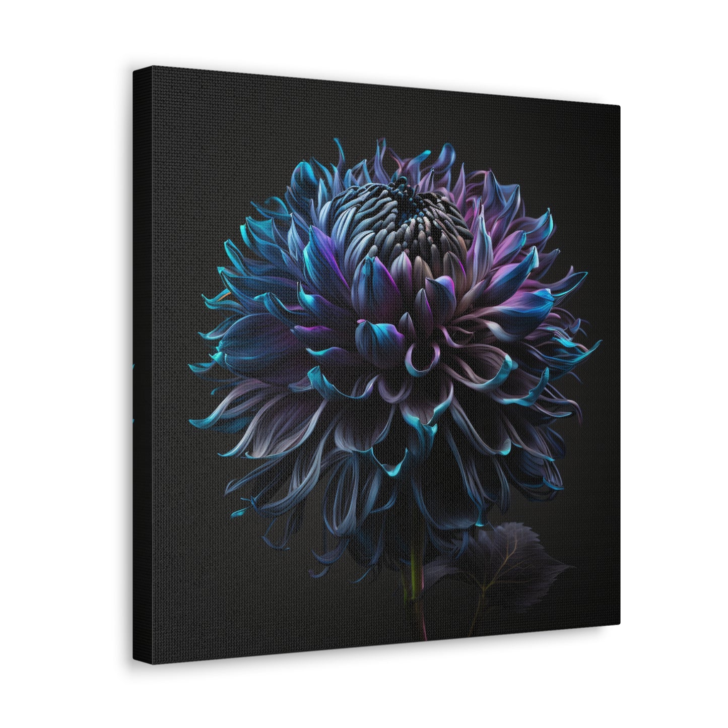Canvas Gallery Wraps Dahlia Purple 3