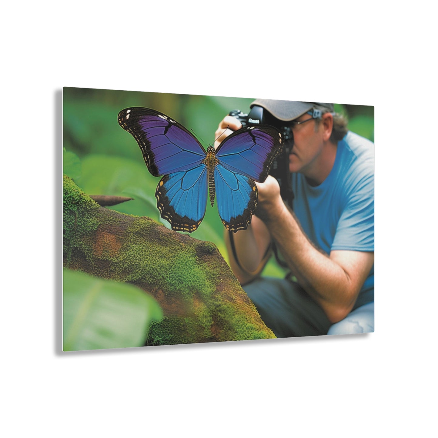 Acrylic Prints Jungle Butterfly 4