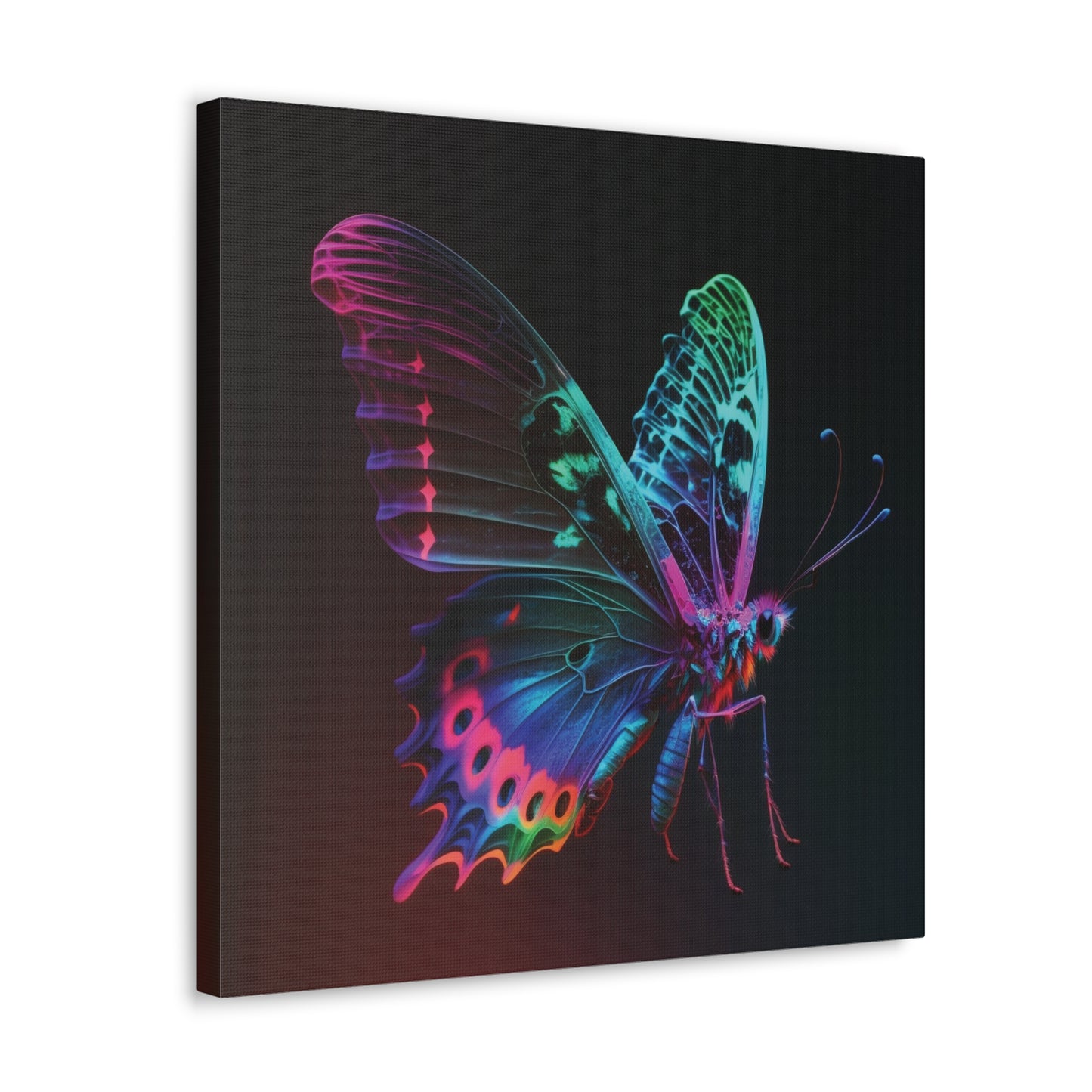 Canvas Gallery Wraps Raw Hyper Color Butterfly 1