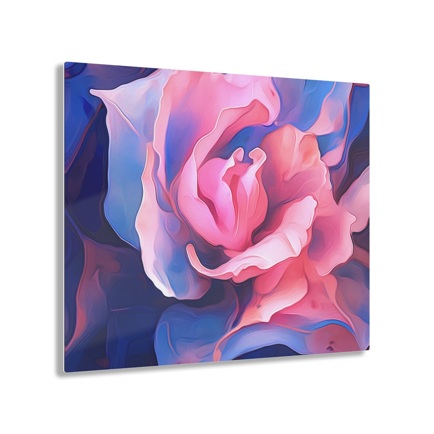 Acrylic Prints Pink & Blue Tulip Rose 1