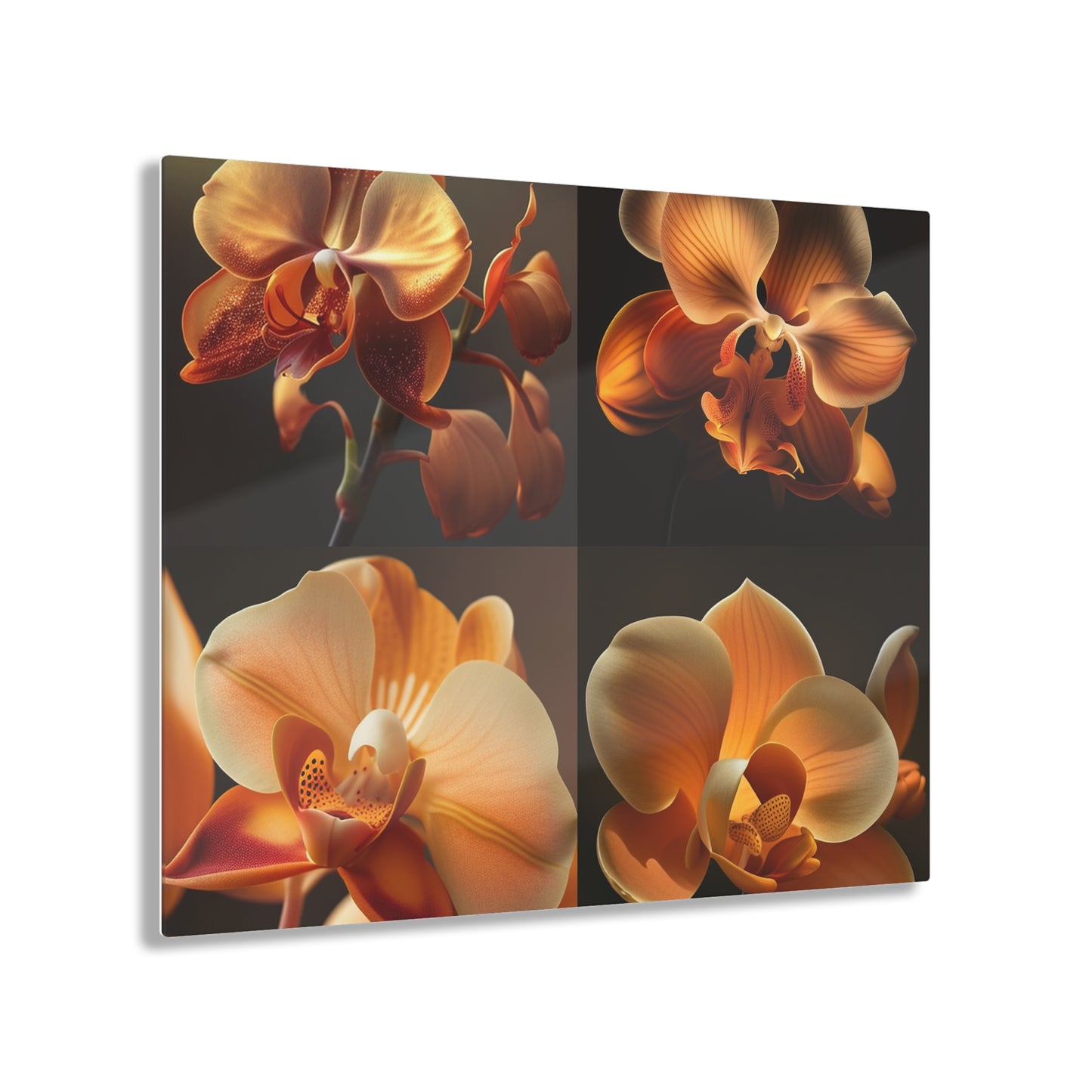 Acrylic Prints Orange Orchid 5