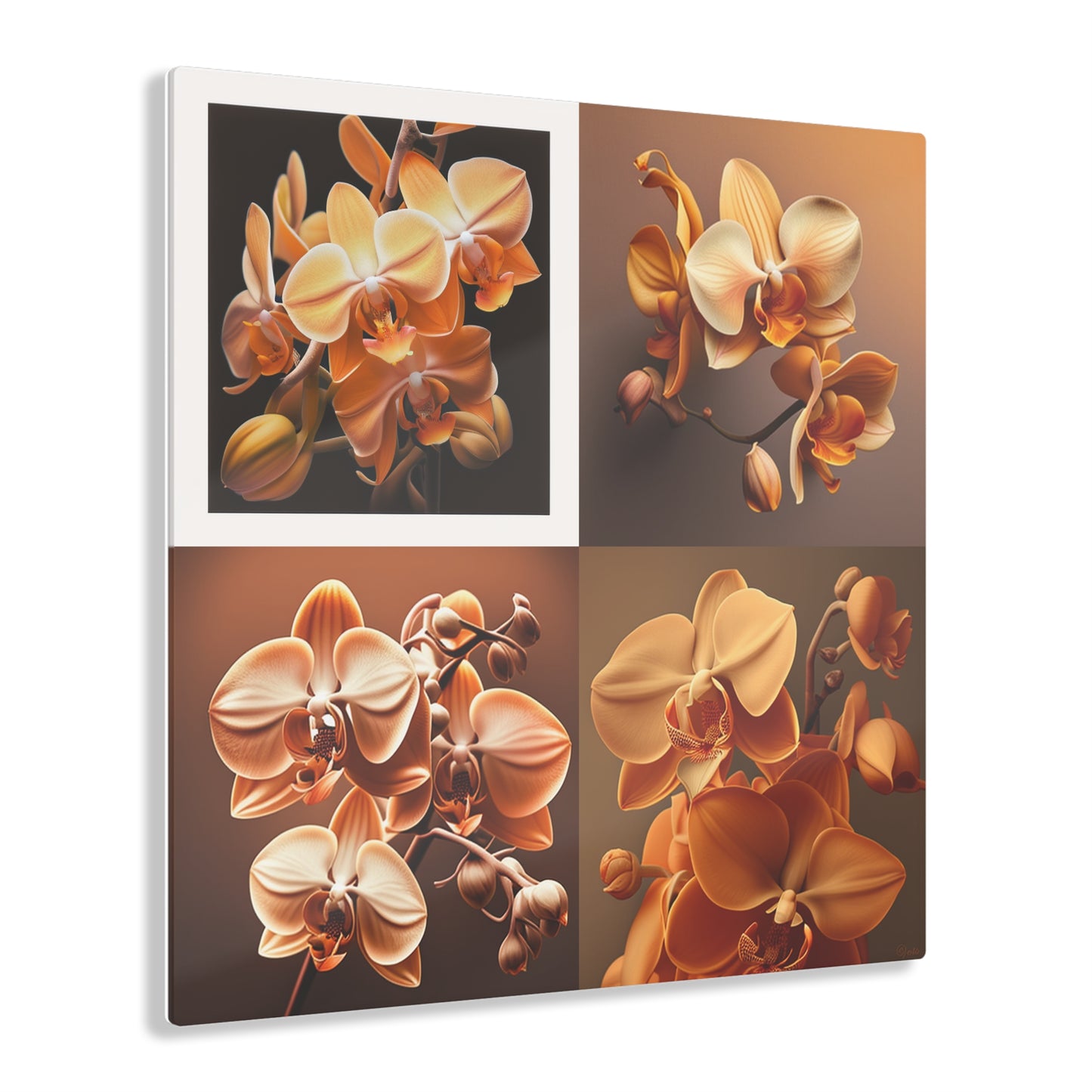 Acrylic Prints orchid pedals 5