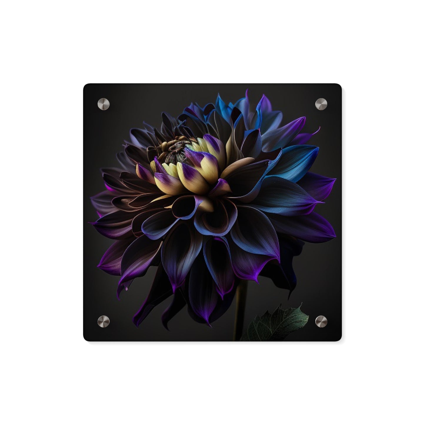 Acrylic Wall Art Panels Dahlia Purple 1