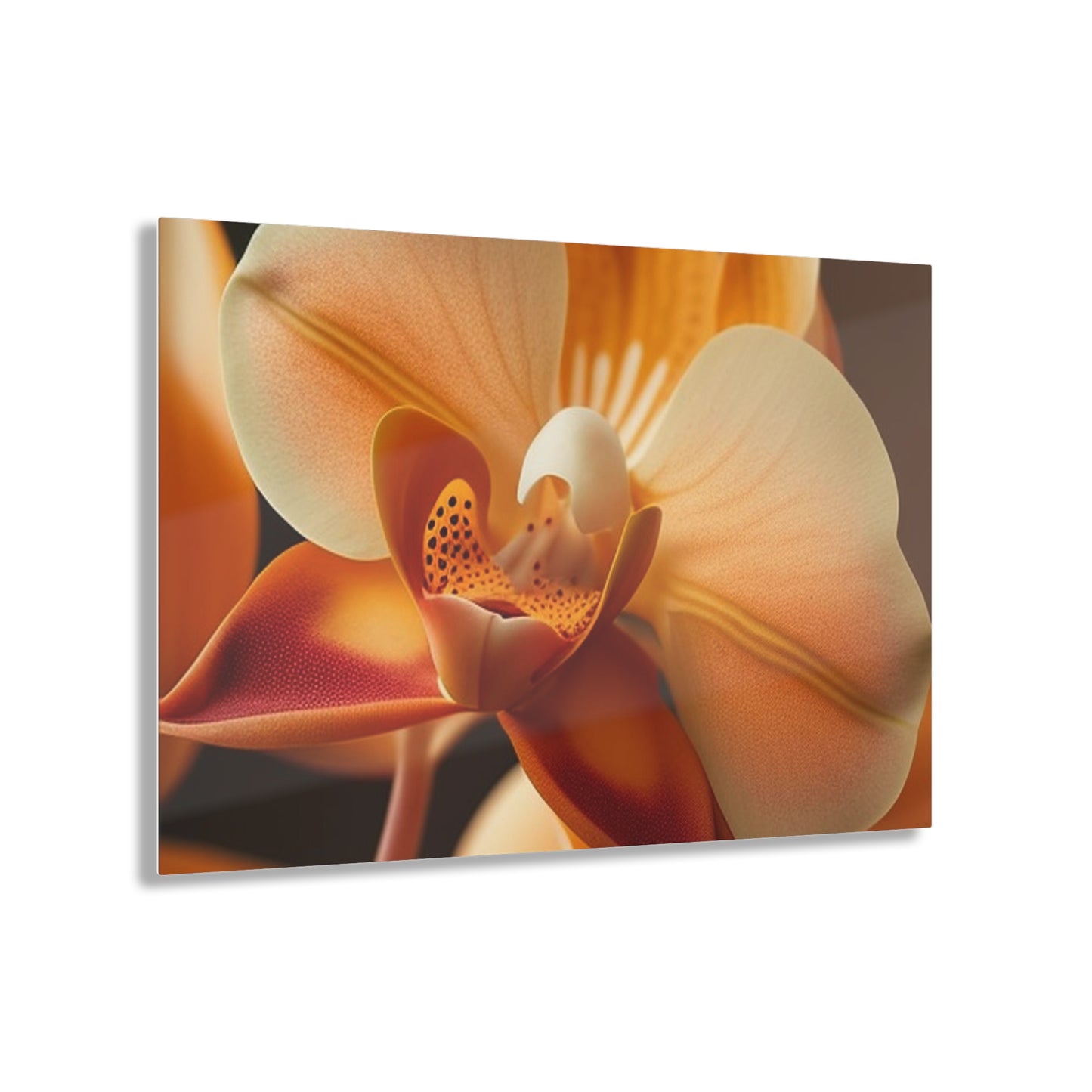 Acrylic Prints Orange Orchid 3