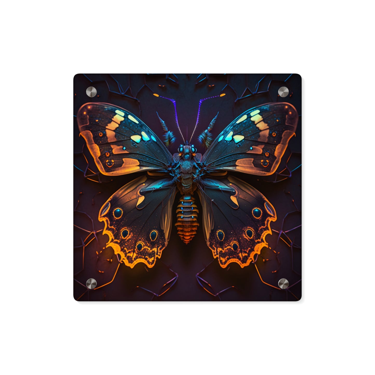 Acrylic Wall Art Panels Neon Hue Butterfly 2