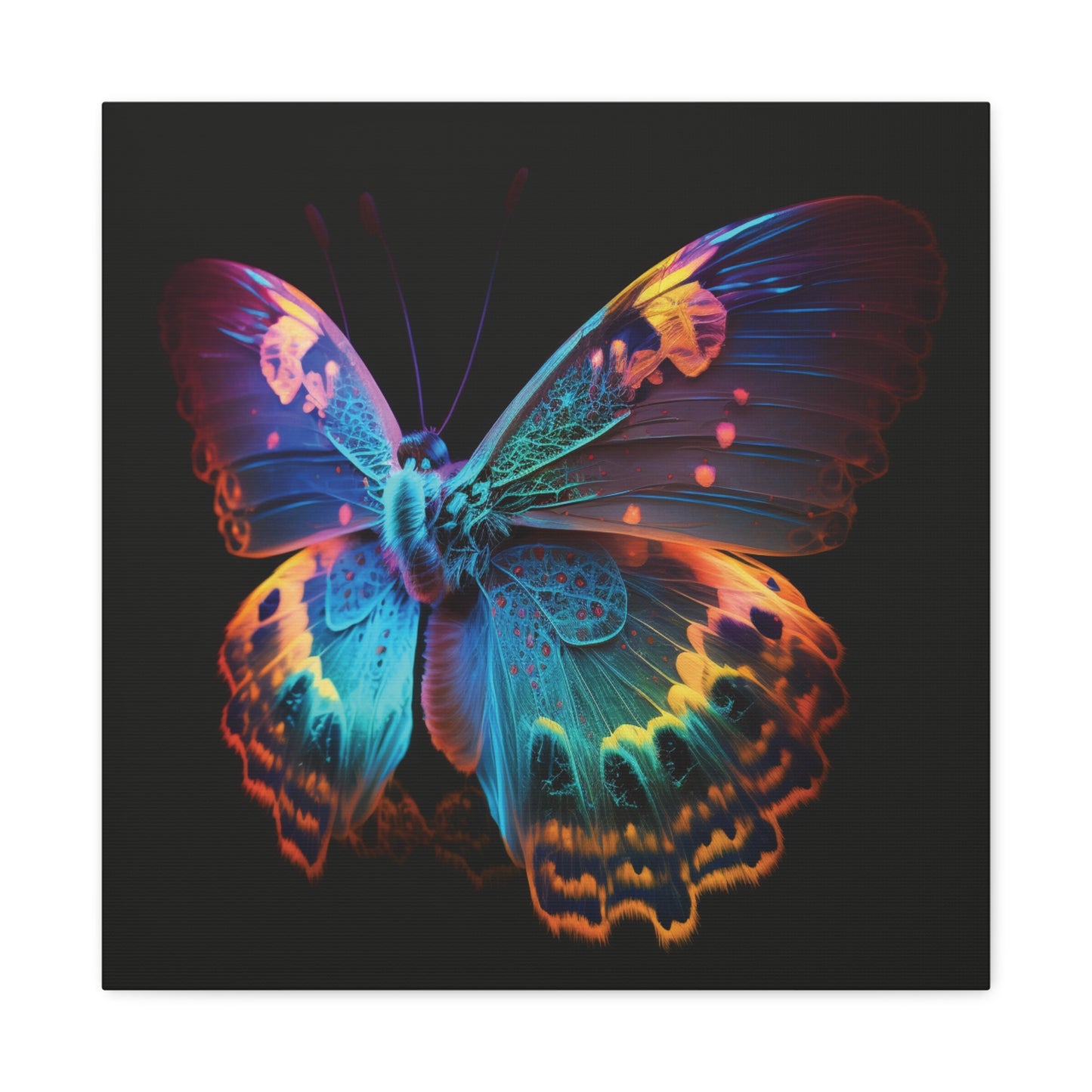 Canvas Gallery Wraps Raw Hyper Color Butterfly 4