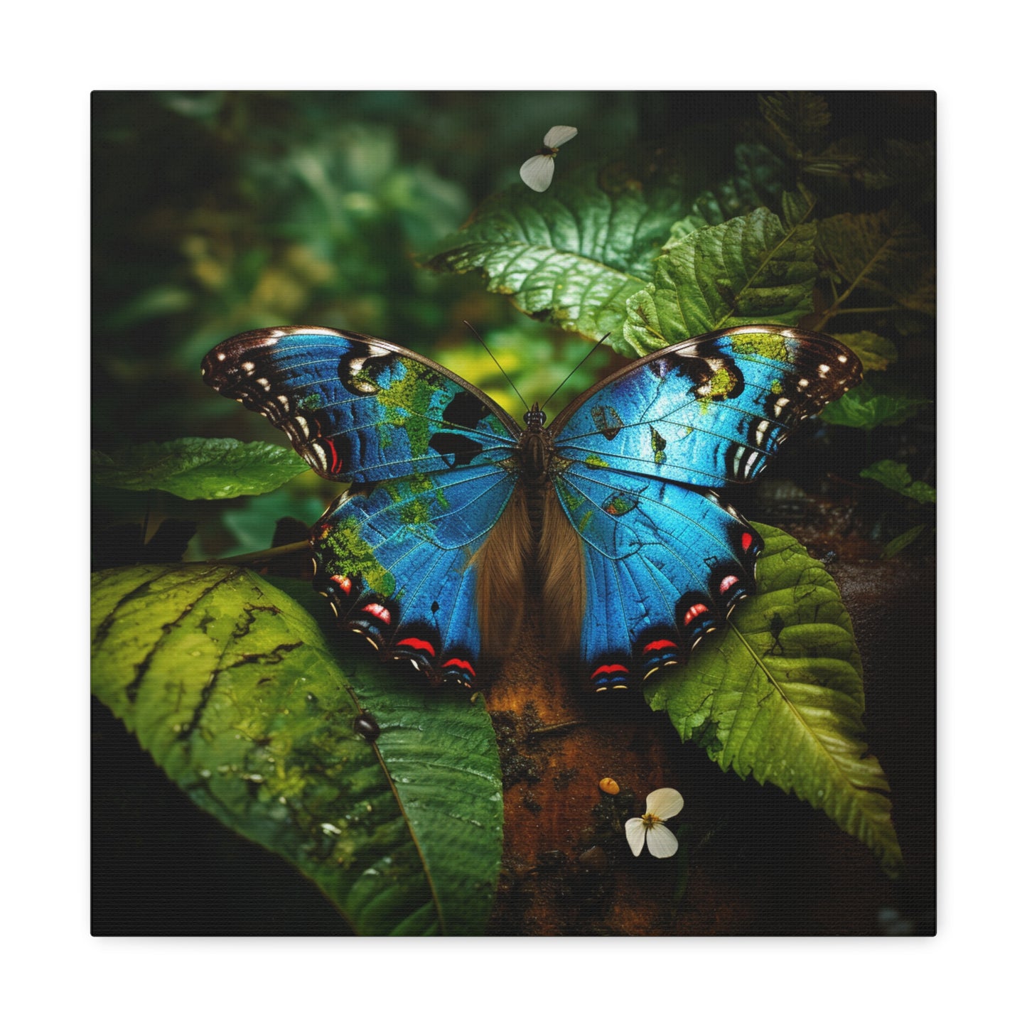 Canvas Gallery Wraps Jungle Butterfly 2