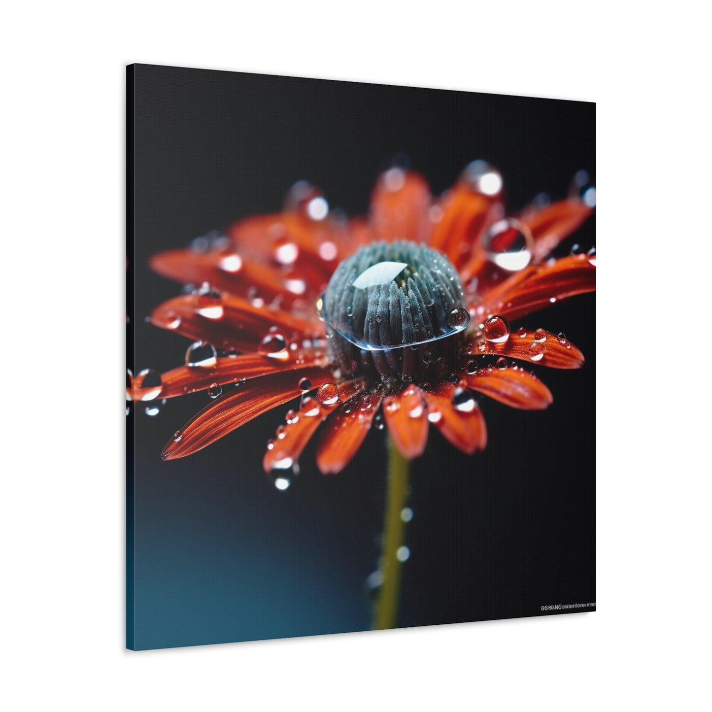 Canvas Gallery Wraps Water drop Macro Flower 1