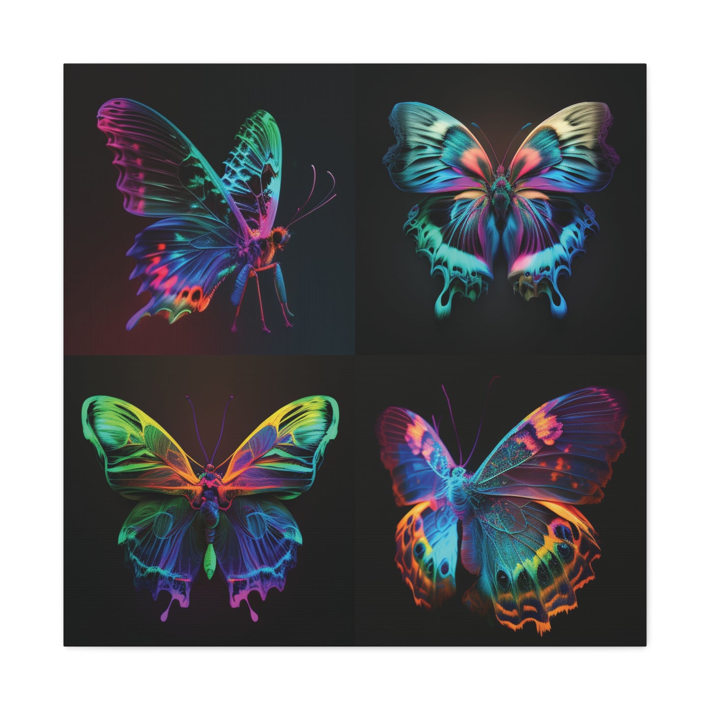 Canvas Gallery Wraps Raw Hyper Color Butterfly 5