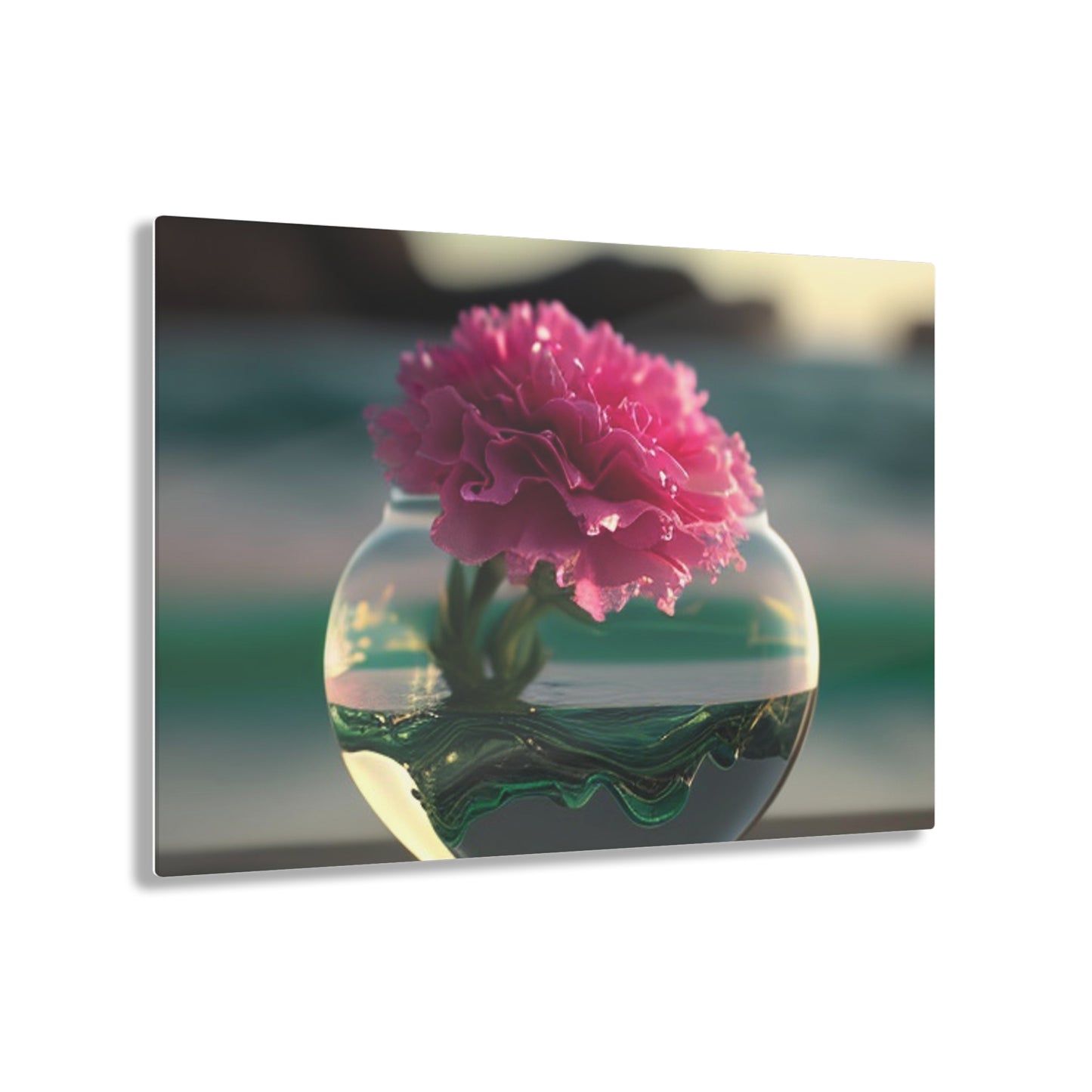 Acrylic Prints Carnation 3