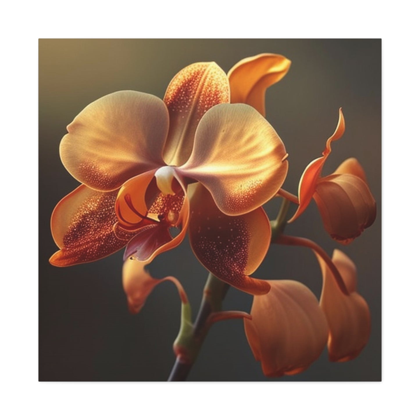 Canvas Gallery Wraps Orange Orchid 1
