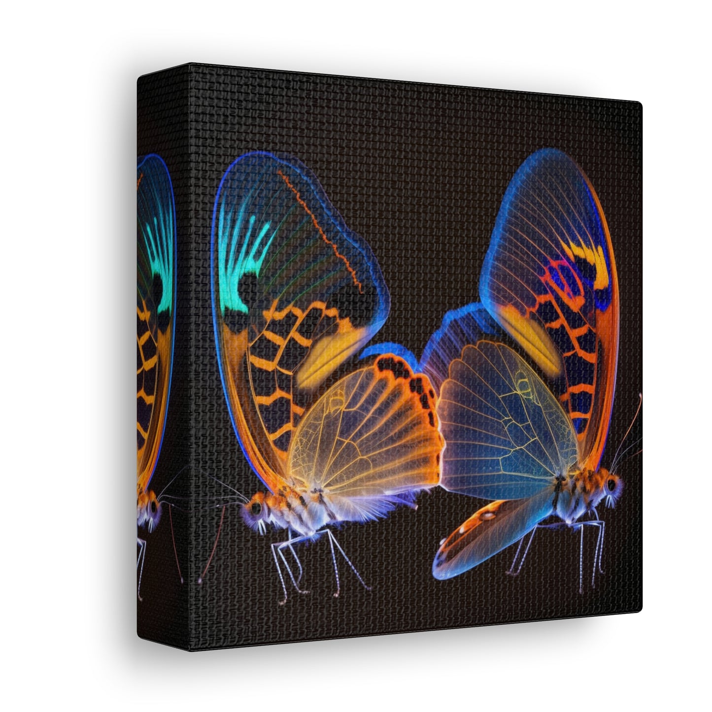 Canvas Gallery Wraps Neon Glo Butterfly 2