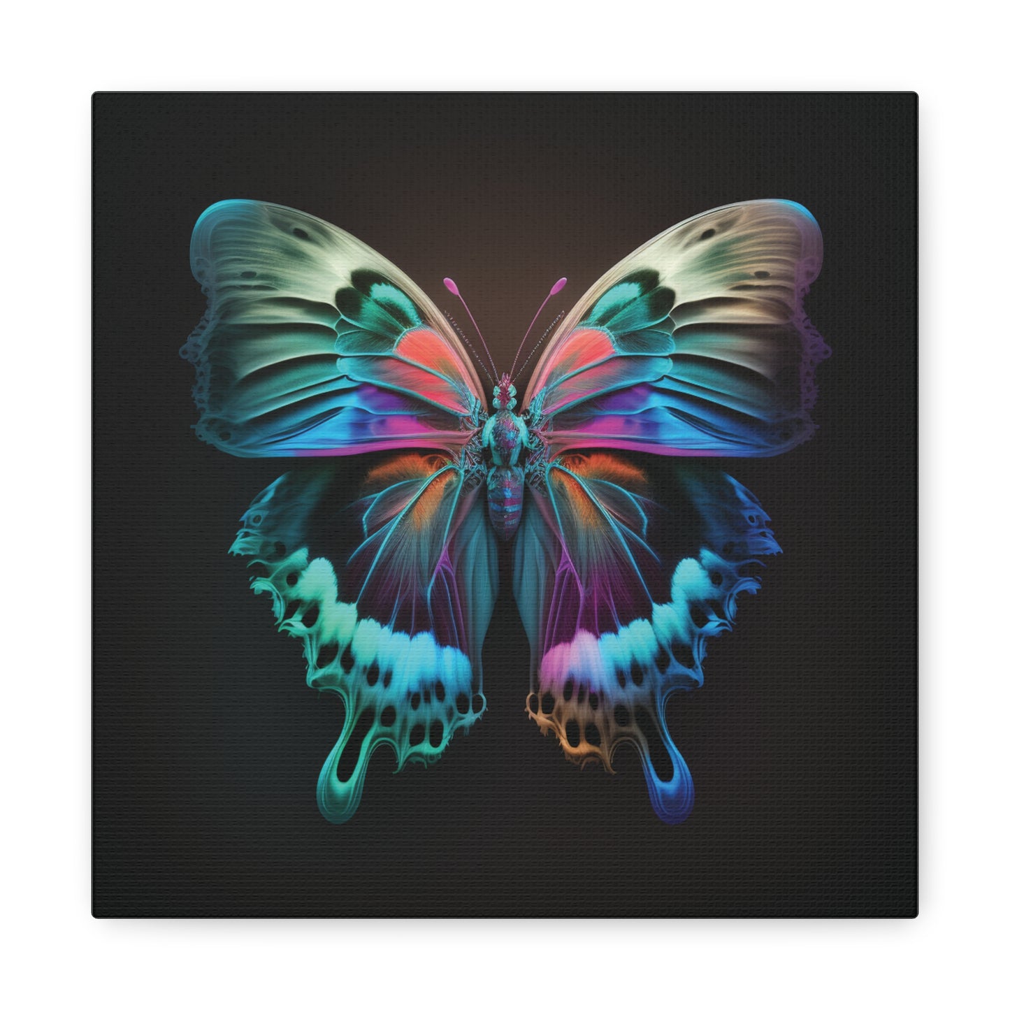 Canvas Gallery Wraps Raw Hyper Color Butterfly 2